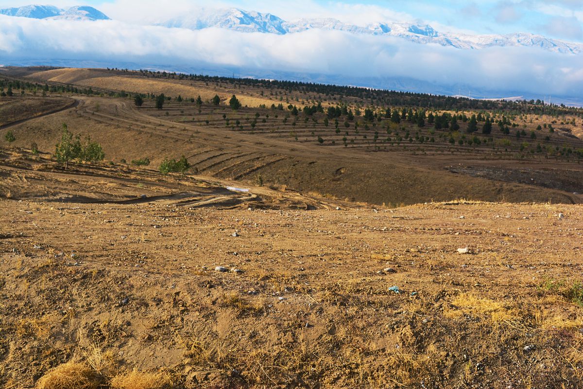 兰州秦王川湿地土壤特征分析