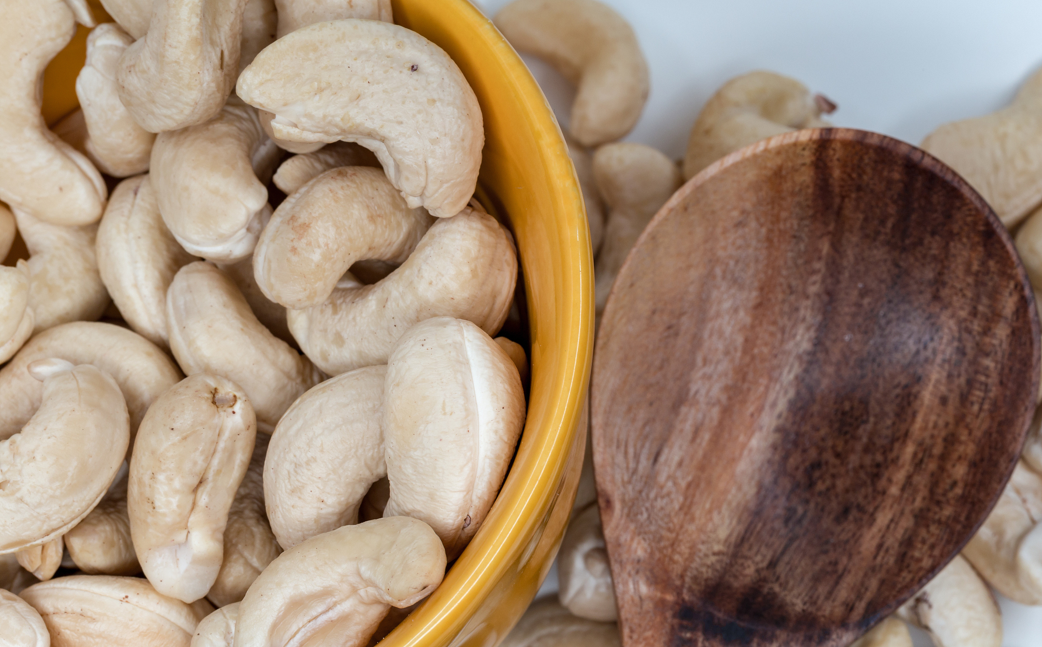 云南轻工业学校2022年招生简章