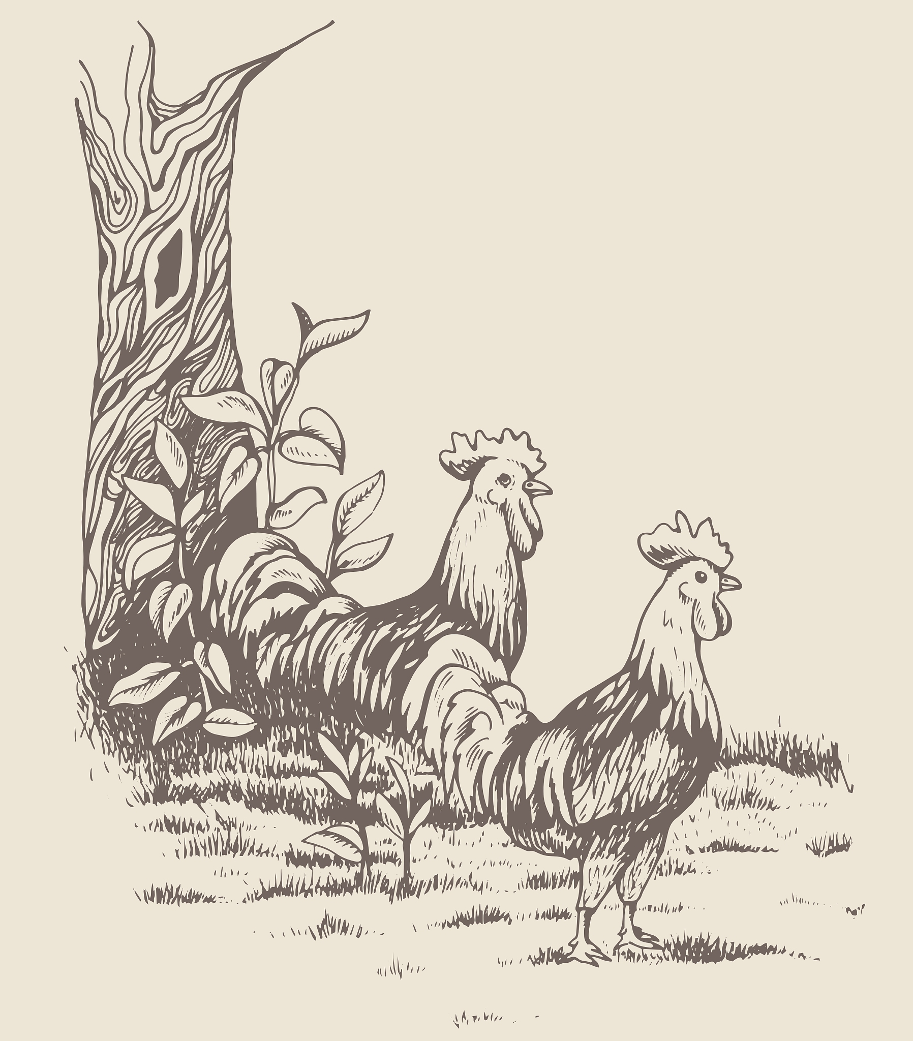 小学四年级英语 'At the Farm' 信息技术学情分析方案