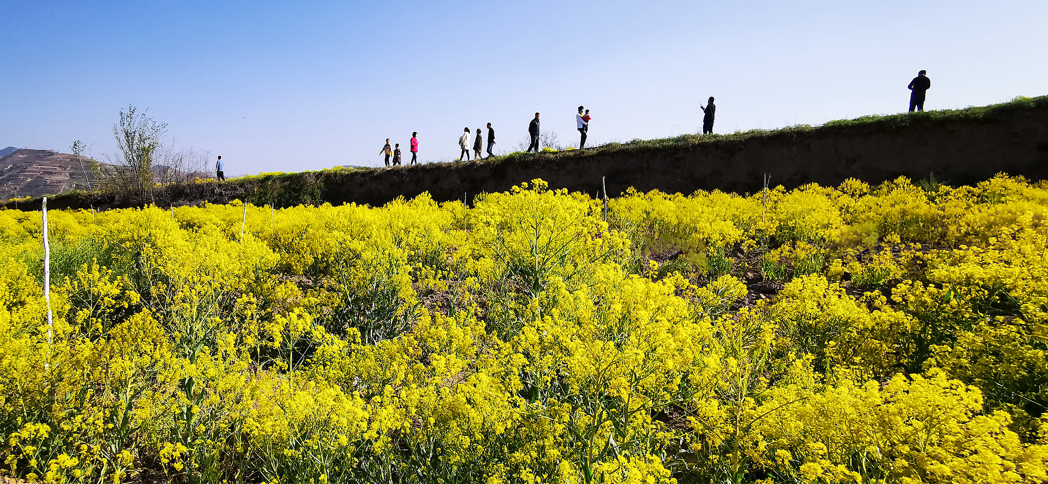春游必备清单：从吃喝玩乐到防晒，教你玩转春天！