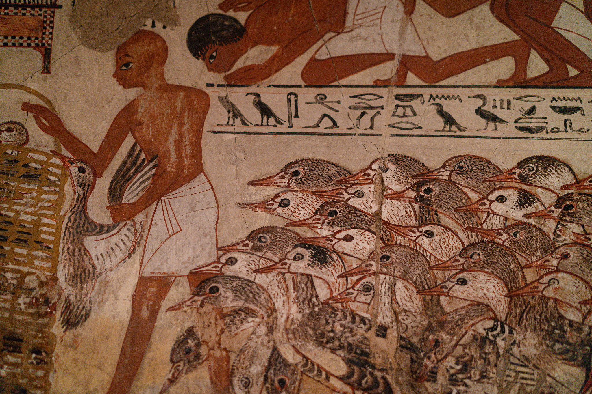 请为谷歌广告优化以下描述信息限制在60字以内：Uncover Thousands Of Years Of Ancient Wisdom Adapted For The Modern World Join Thousands Of Others Who Have Restored Their Body With The Shakti MatUncover Thousands Of Years Of