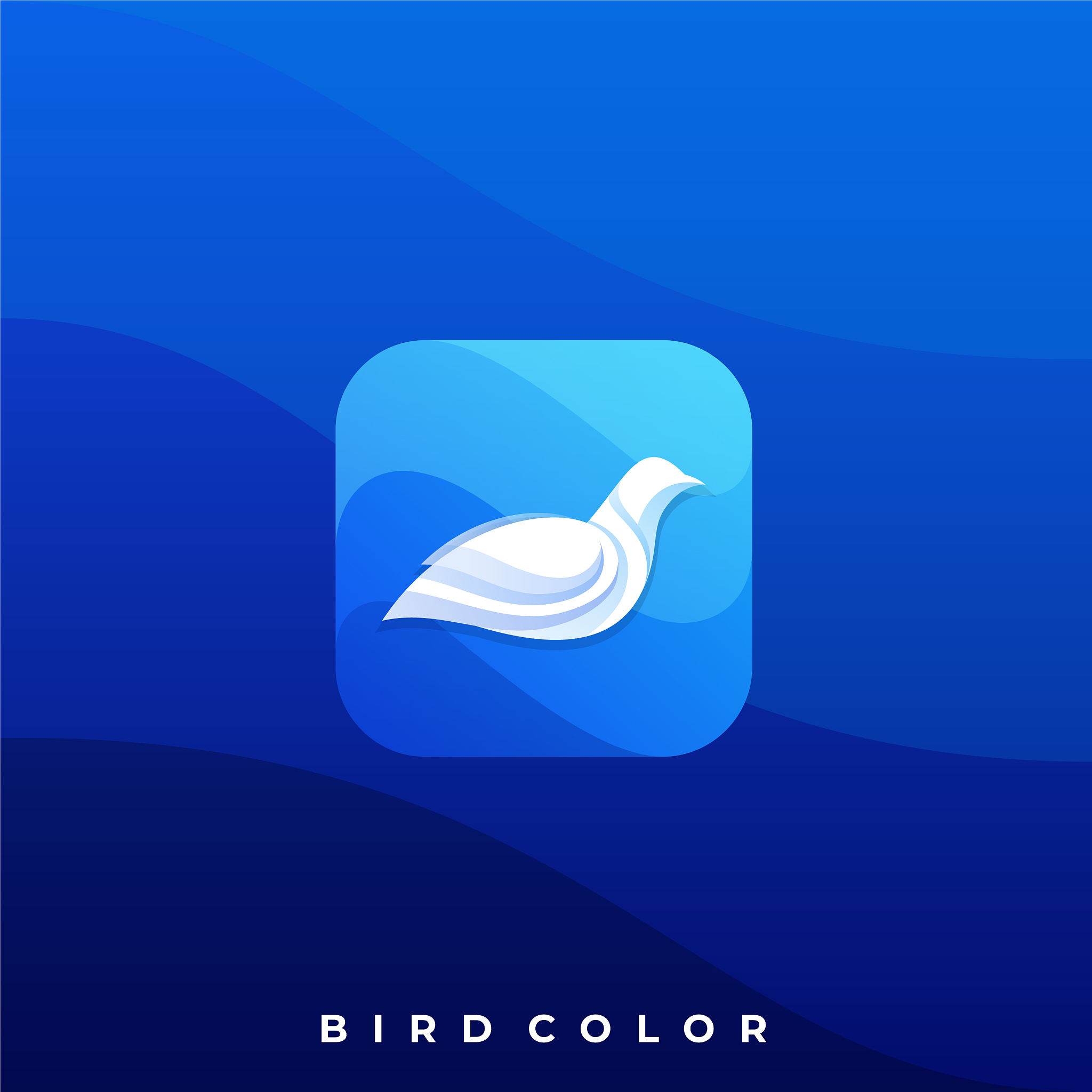 白鲸加速器官网 - 安全稳定，畅享网络