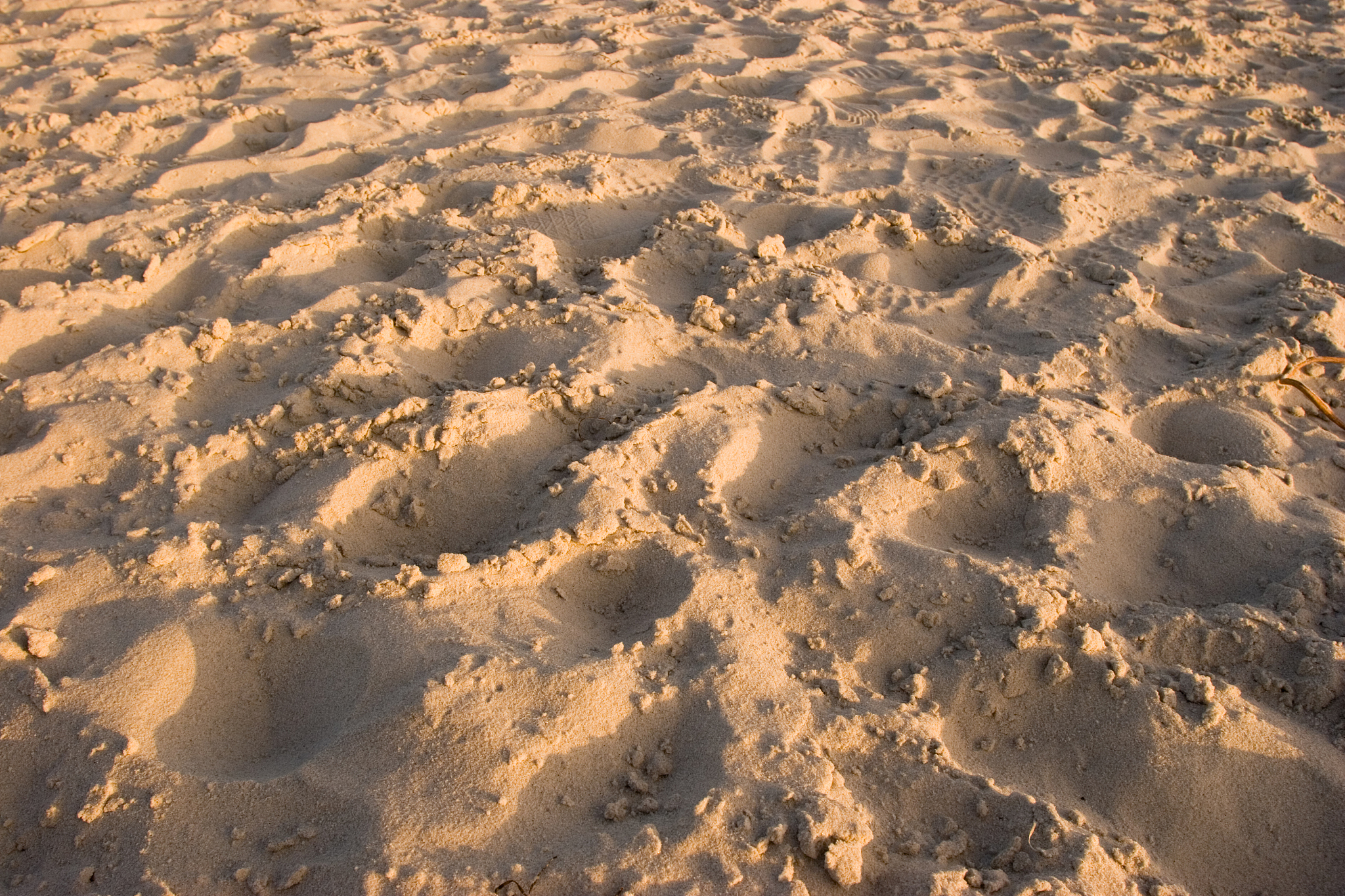 soft sand background