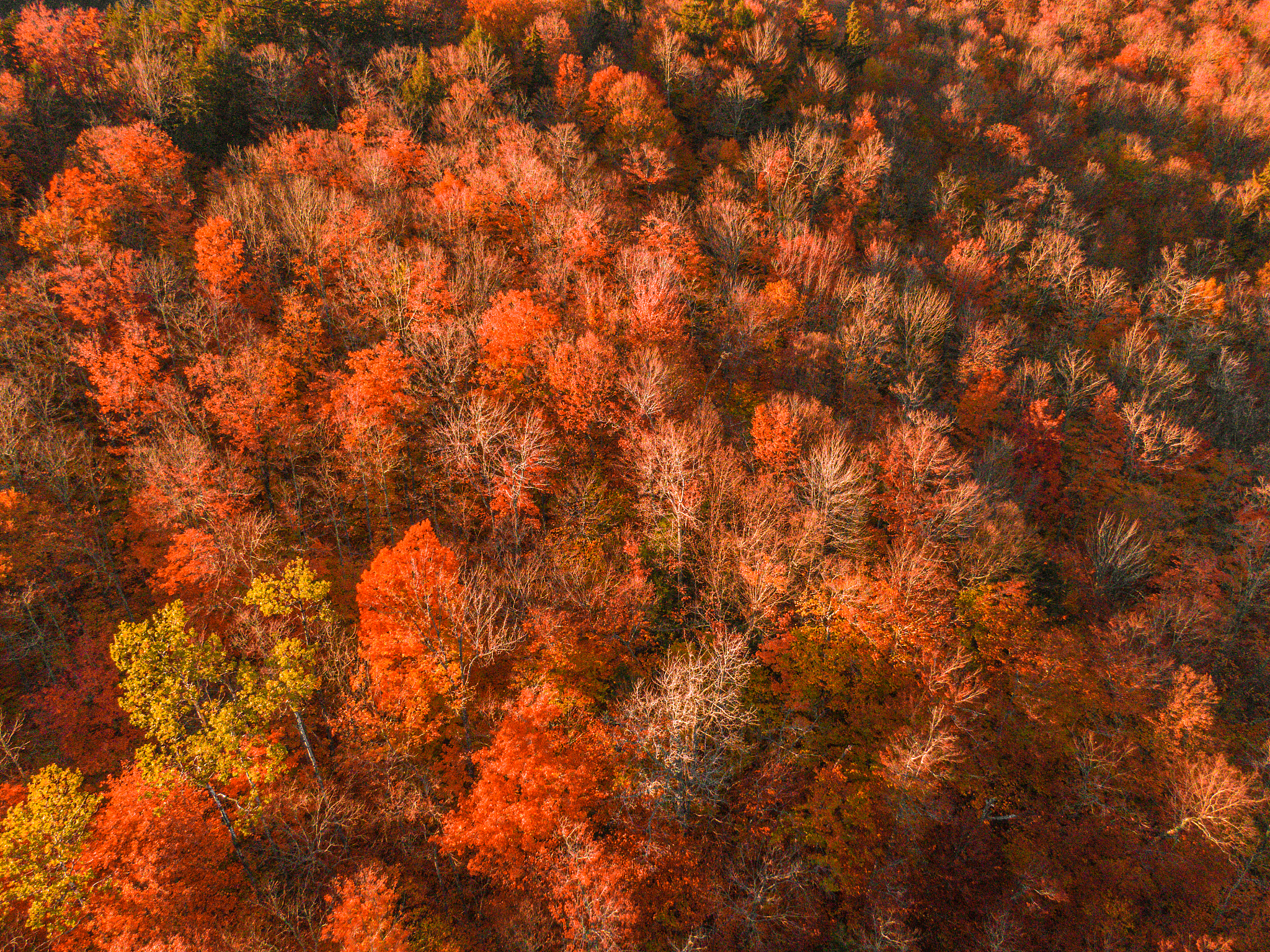 白山卫校2022年招生简章