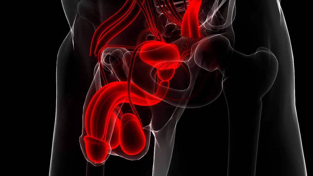 福建农业职业技术学院畜牧兽医专业：课程设置、发展前景及就业方向