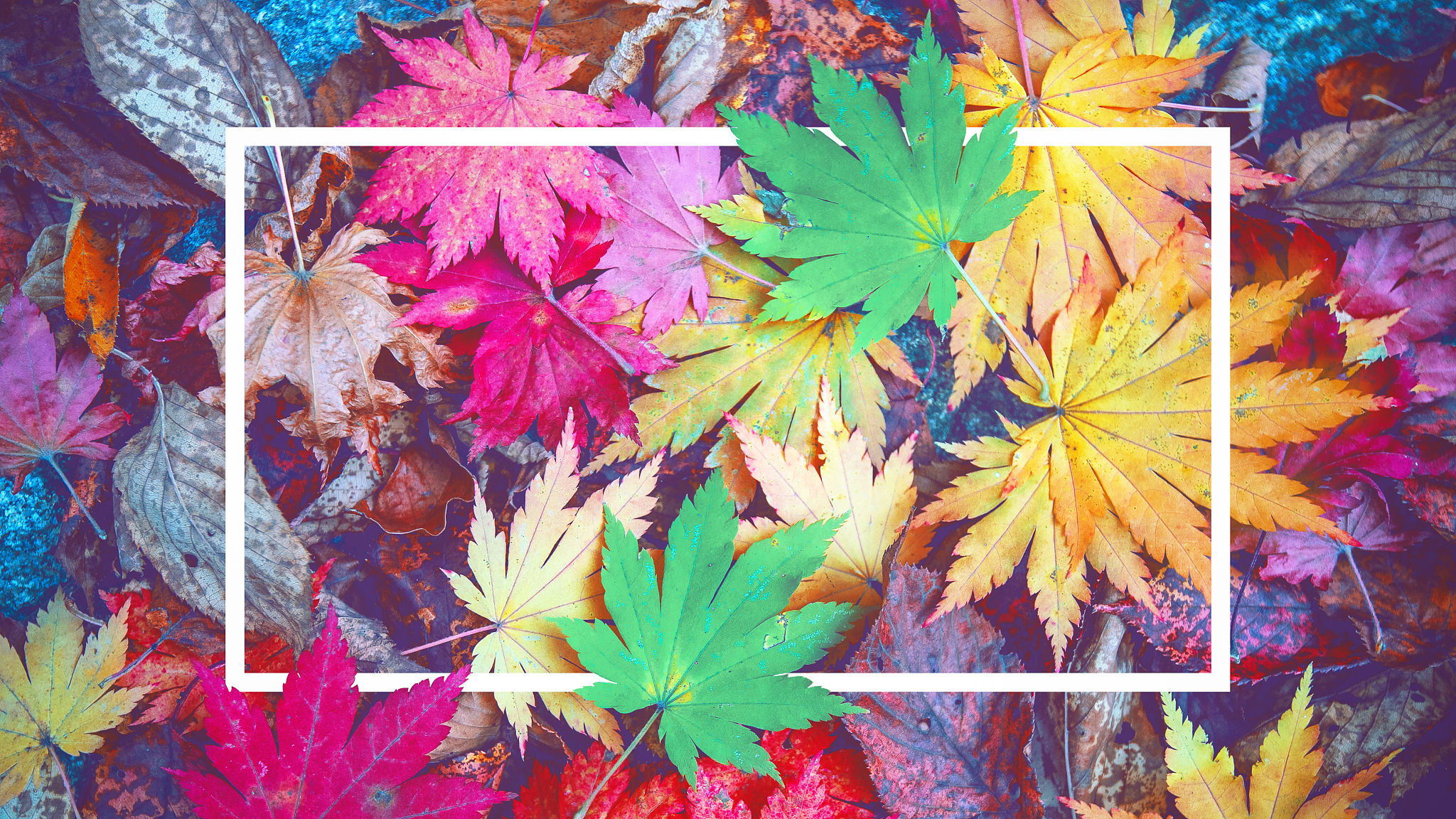 河南信息工程学校的动漫与游戏设计就业方向如何