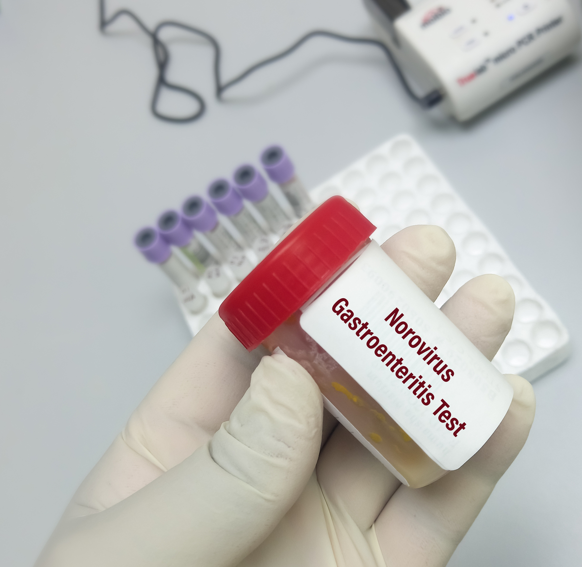 EV-G-PLP病毒口服感染ICR乳鼠实验表明其可感染乳鼠脏器