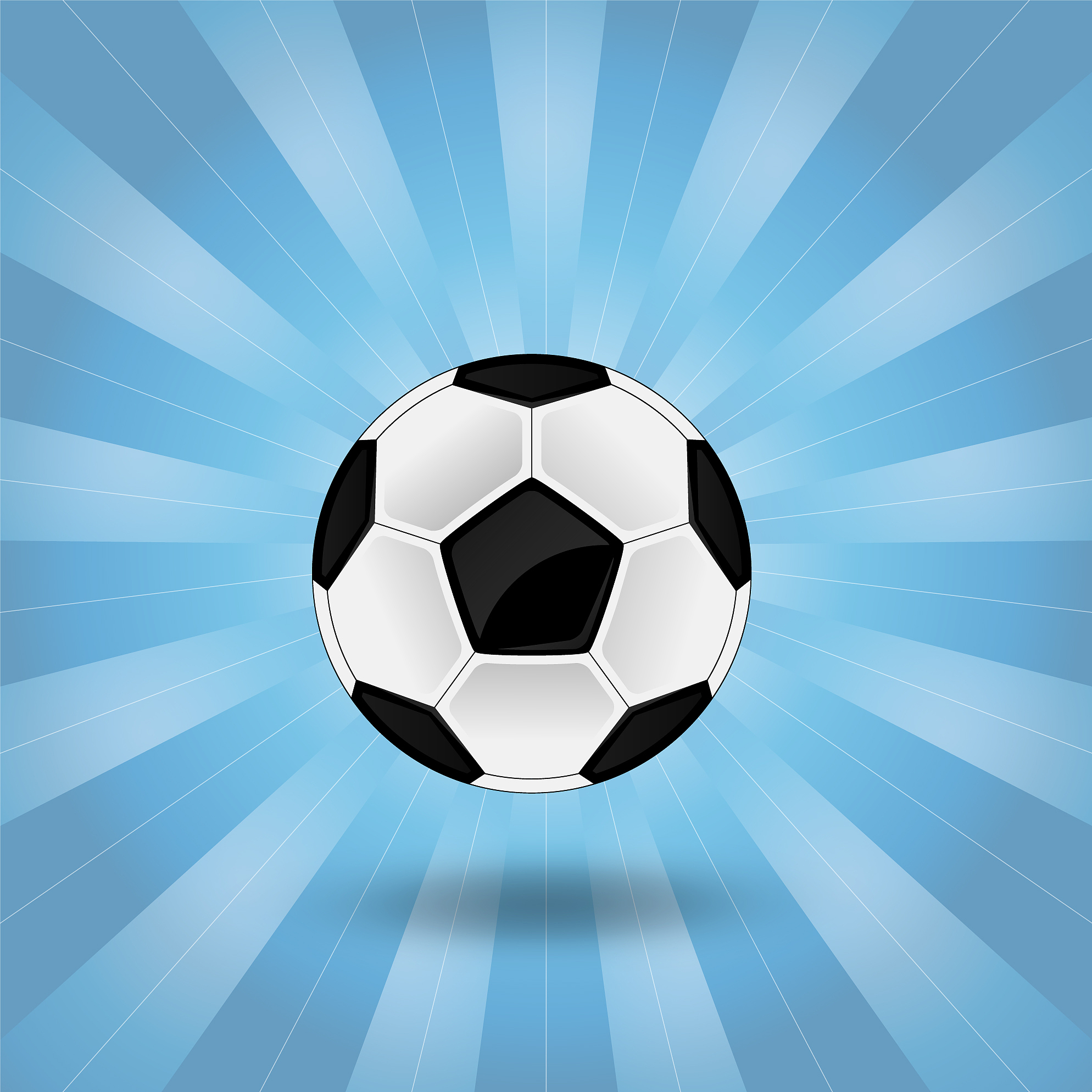 a soccer ball