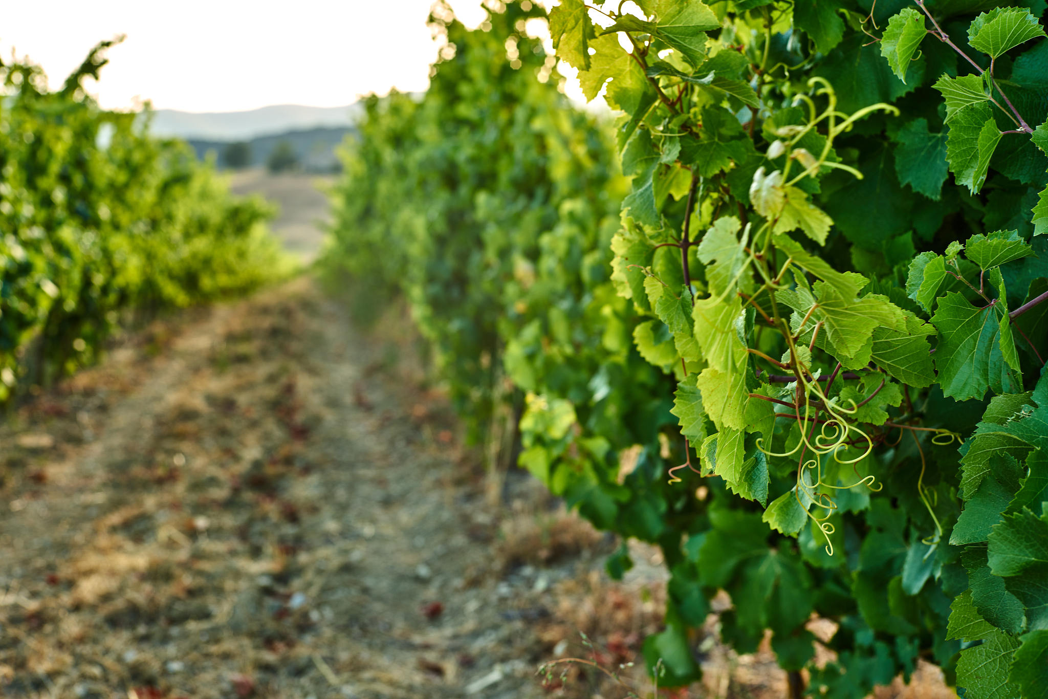 曲靖农业学校航空摄影测量专业好就业吗