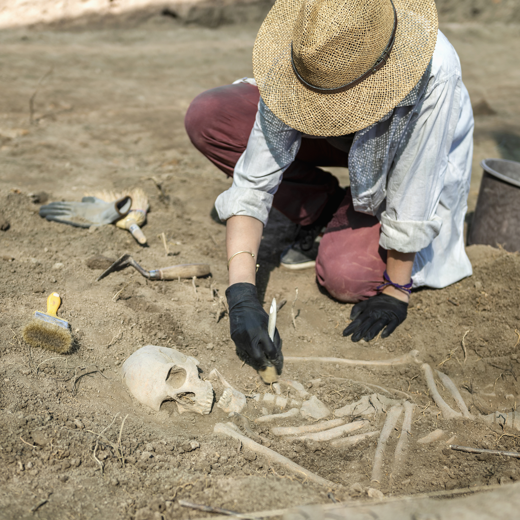 archaeological excavations - ancient human skeleton