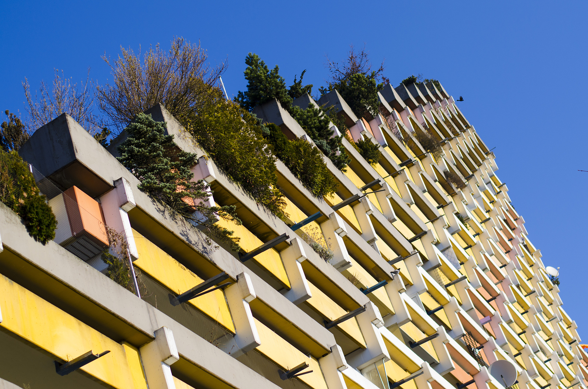 colourful apartment block