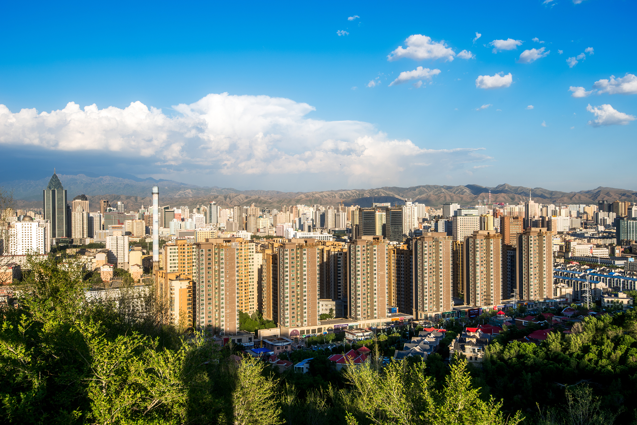 森林城市