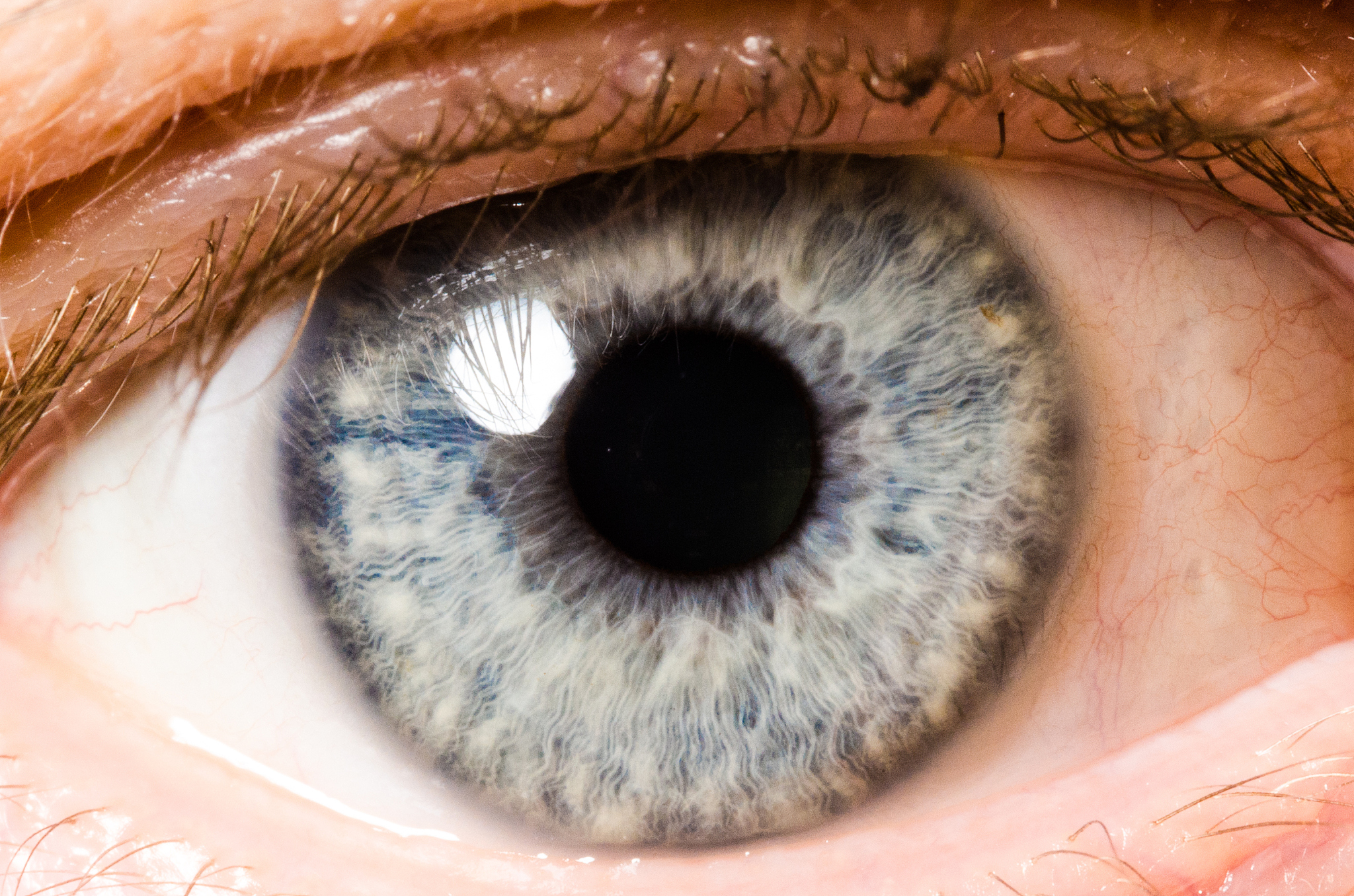 close-up portrait of human eye