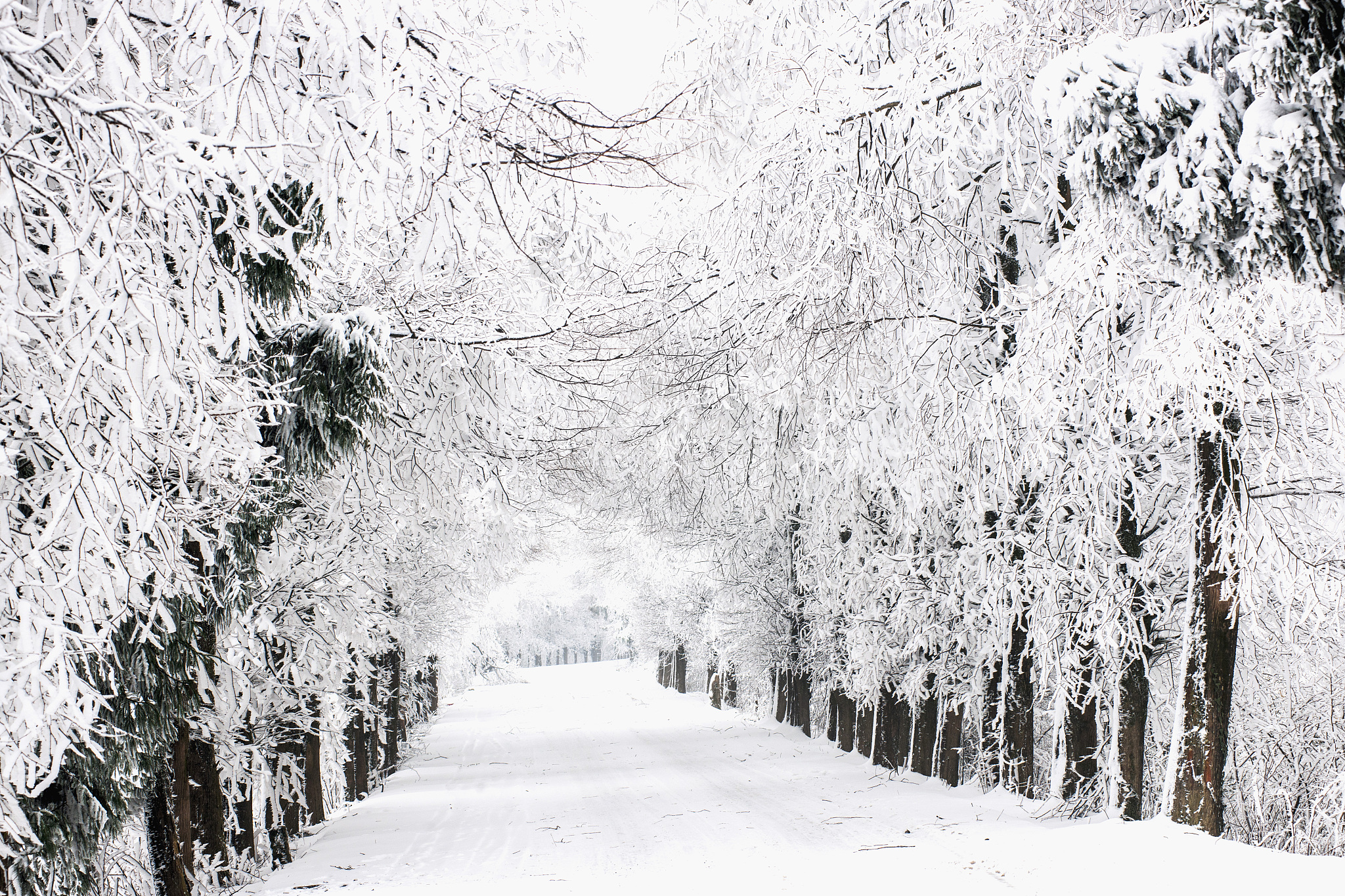 湖北24小时媒体曝光热线：举报违法违规行为，维护社会公正