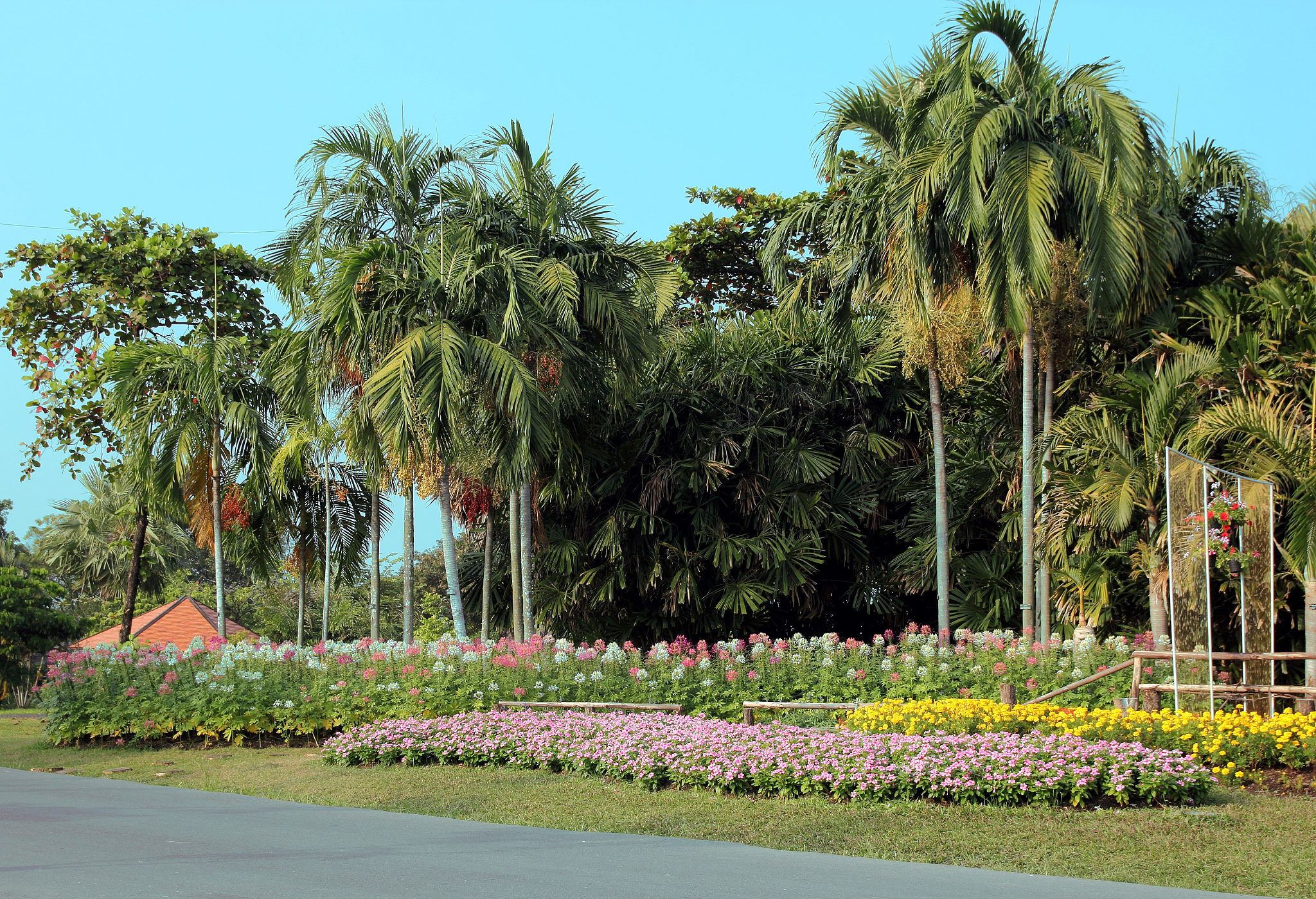成都市温江区燎原职业技术学校园林技术专业都学些什么
