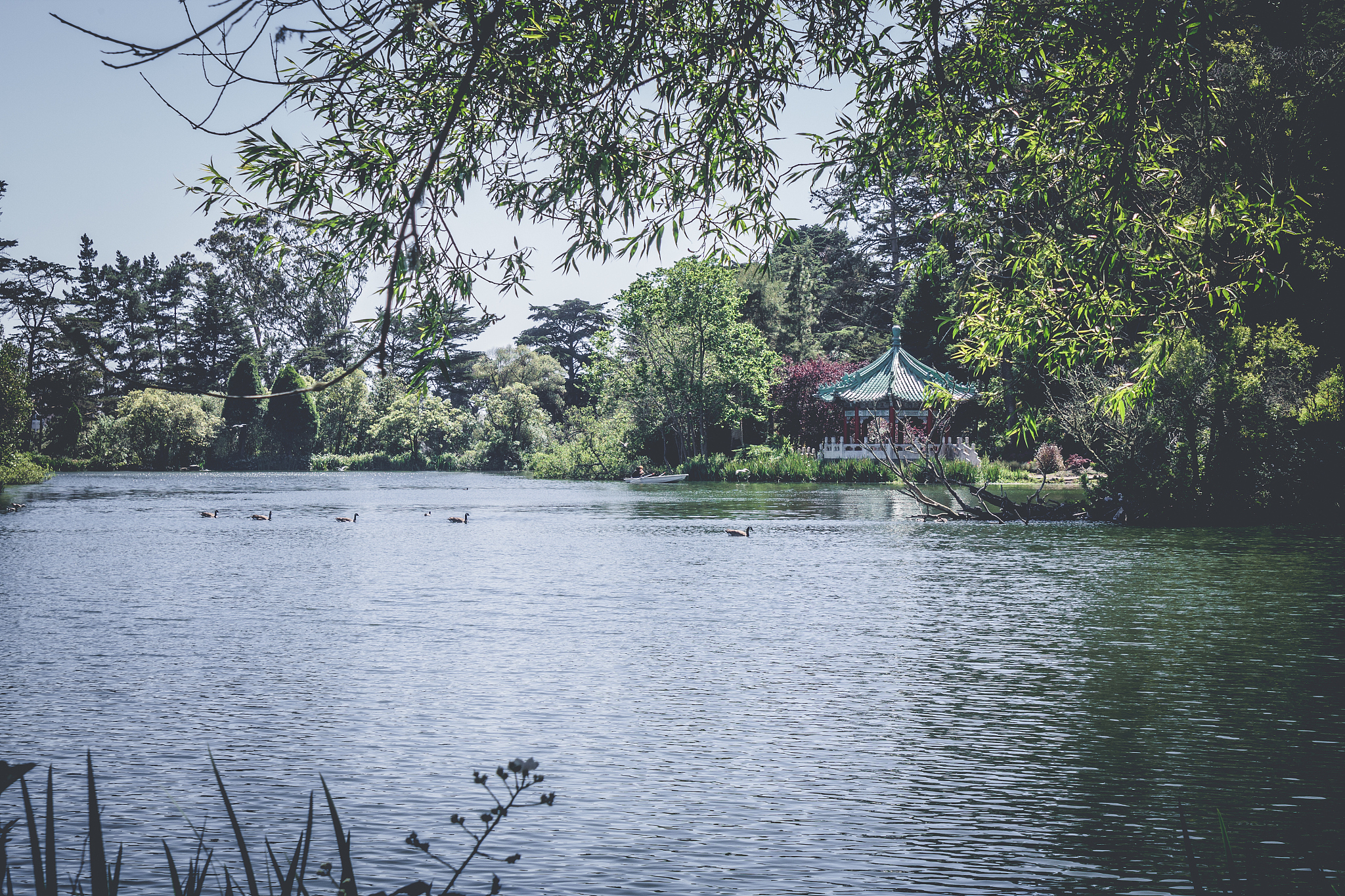 批量调整文件夹内图片尺寸：完整步骤指南