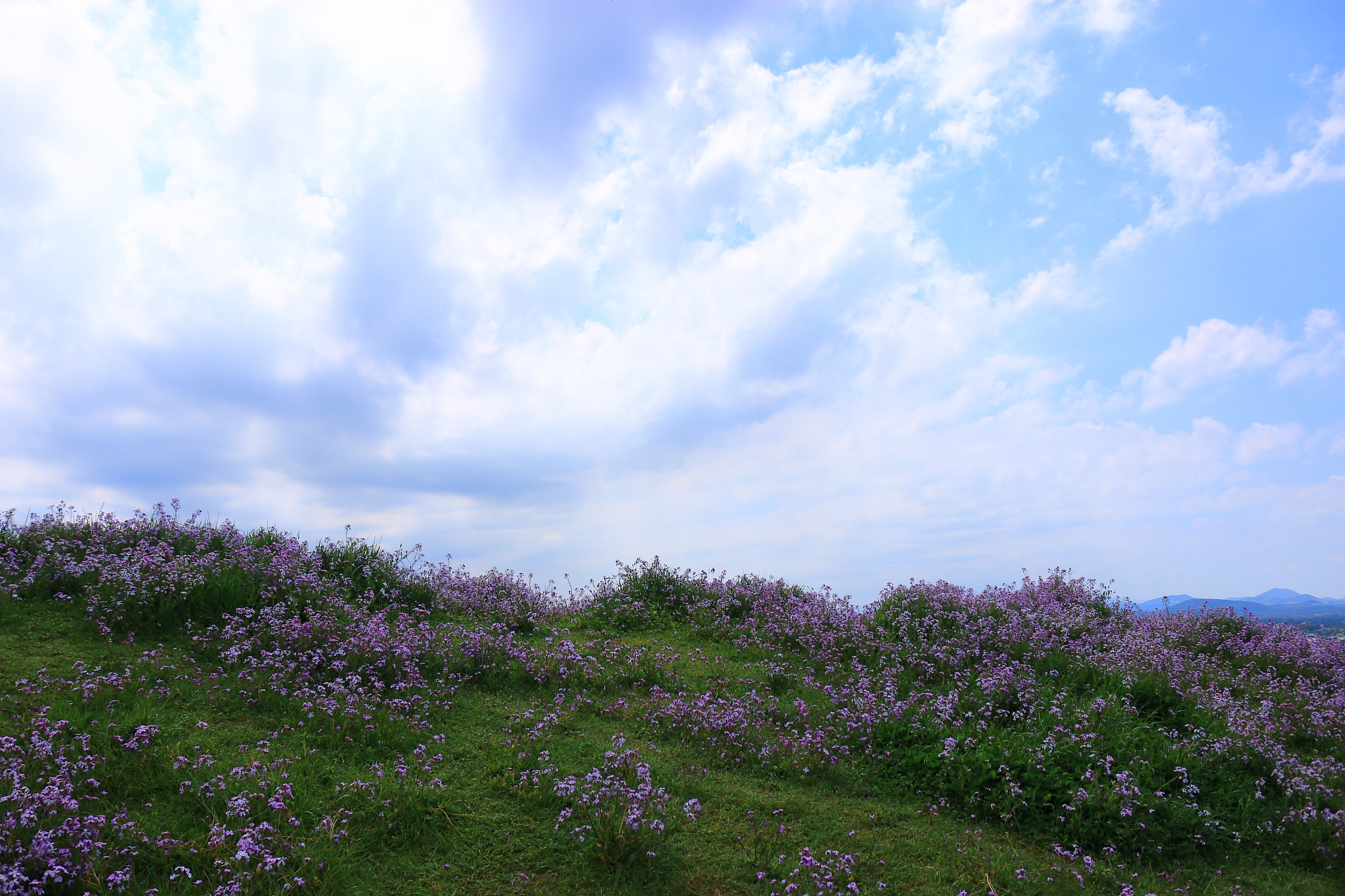 seongsan sunrise peak, unesco world heritage site, sunrise, sunr