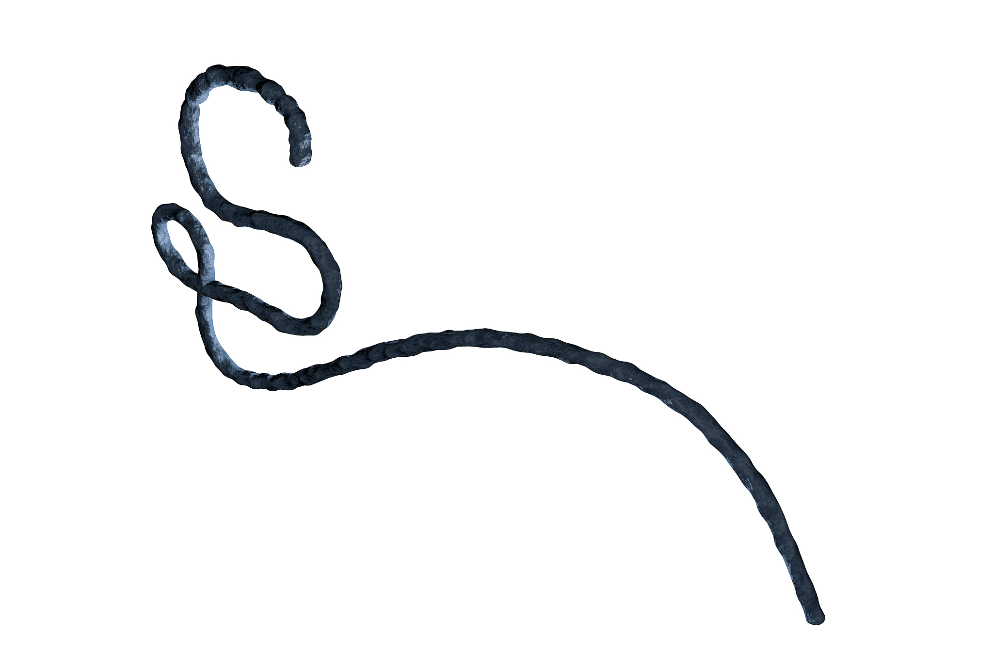 为什么流感抗体会消失？