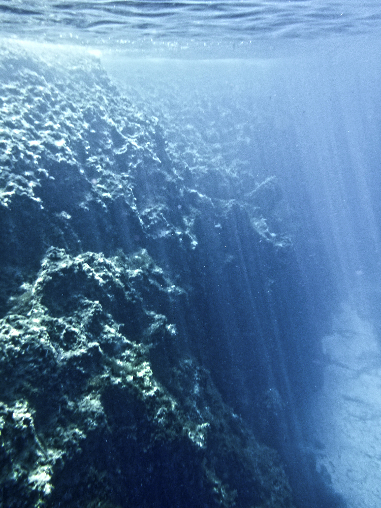 underwater world