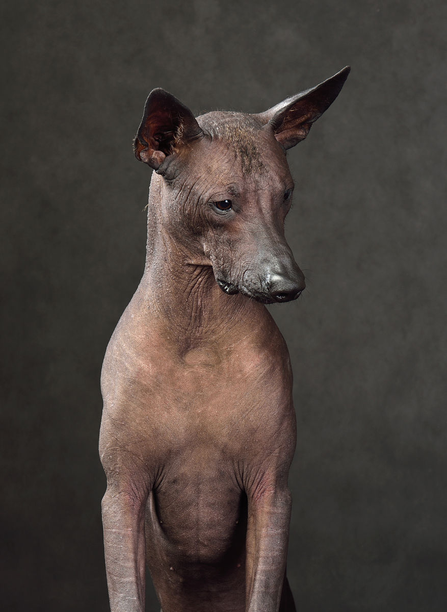 NPT螺纹承压能力多少公斤