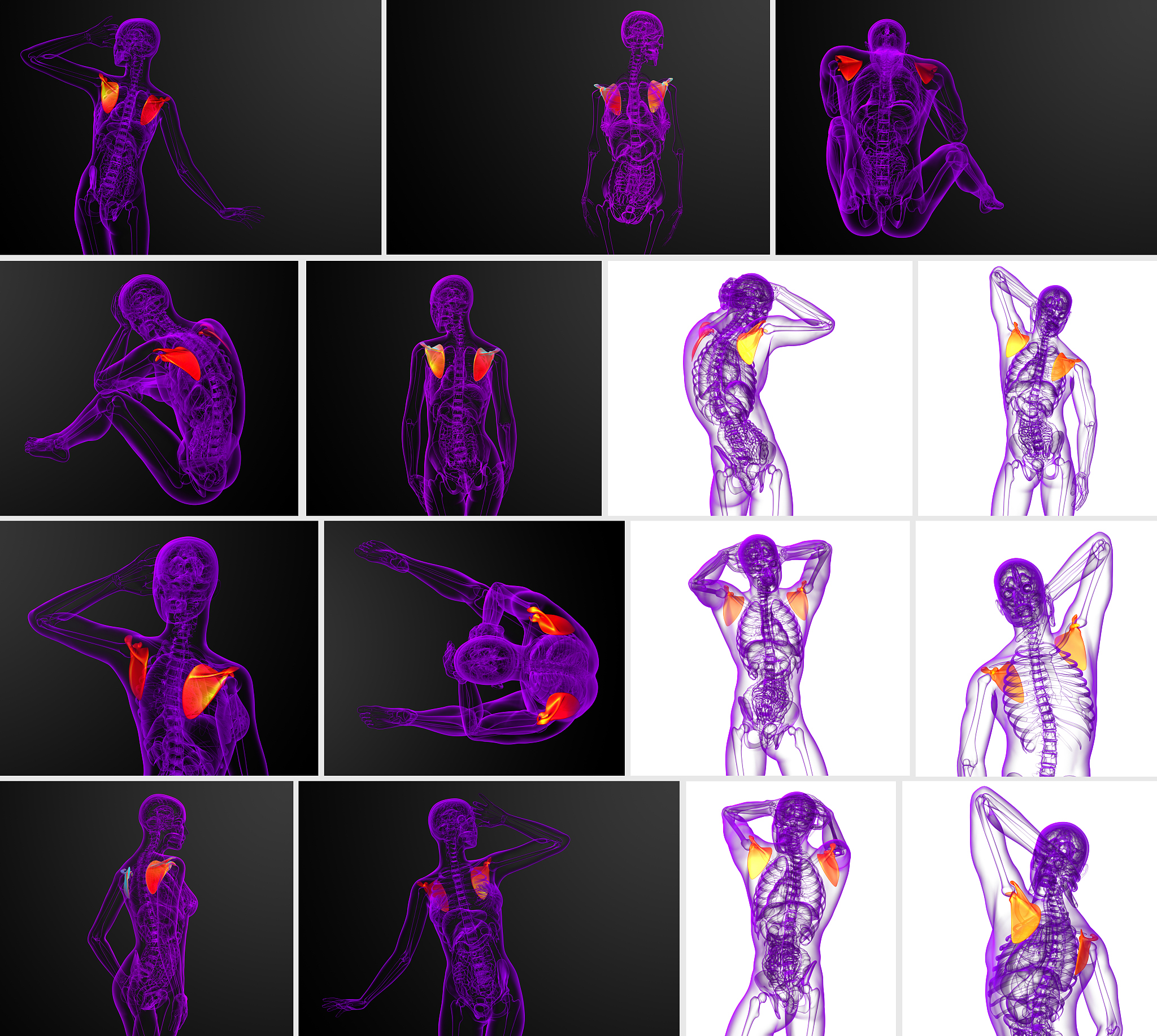 使用 MediaPipe 提取人体关键点并计算角度 - Python 代码示例