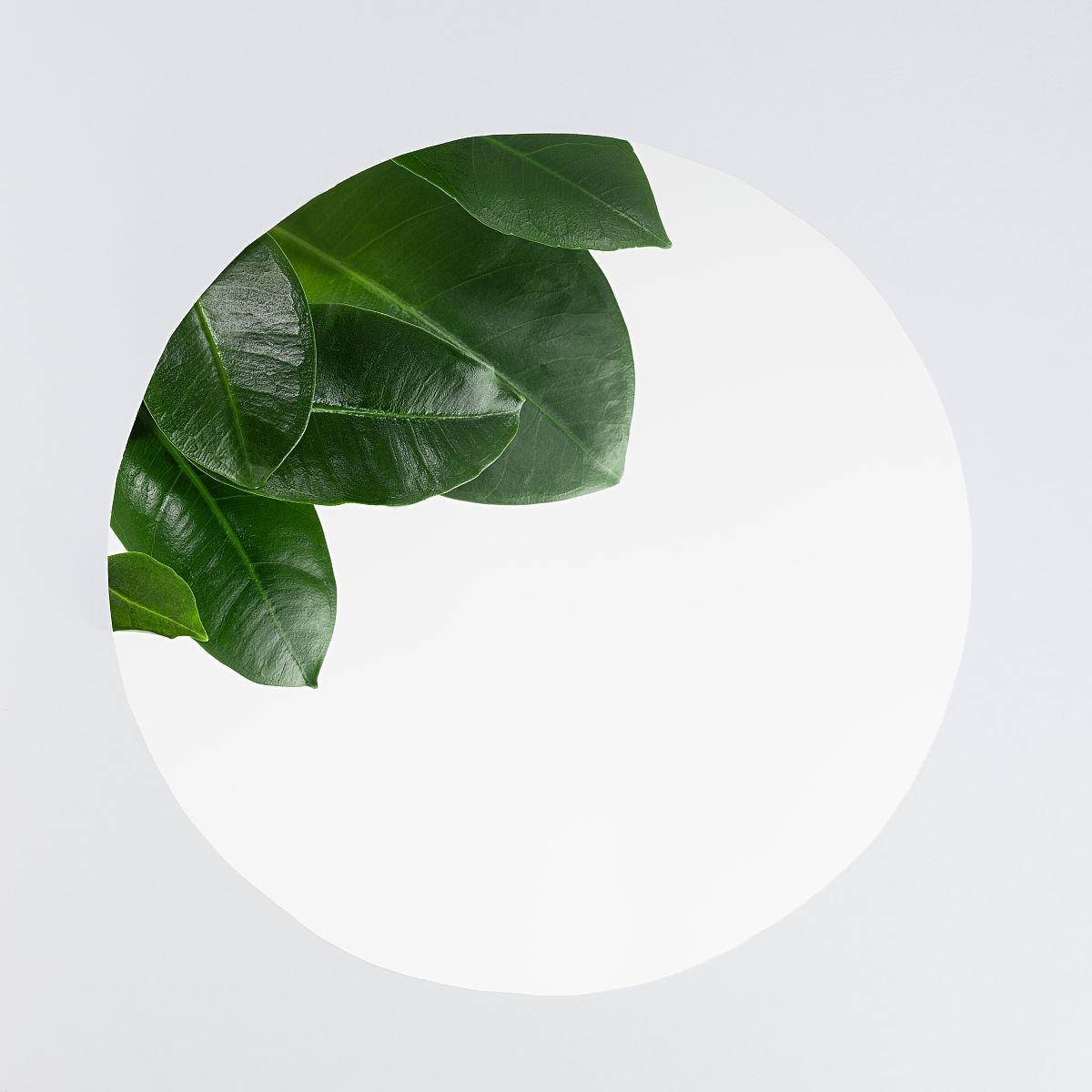 戏剧演艺专业需要什么样的教育