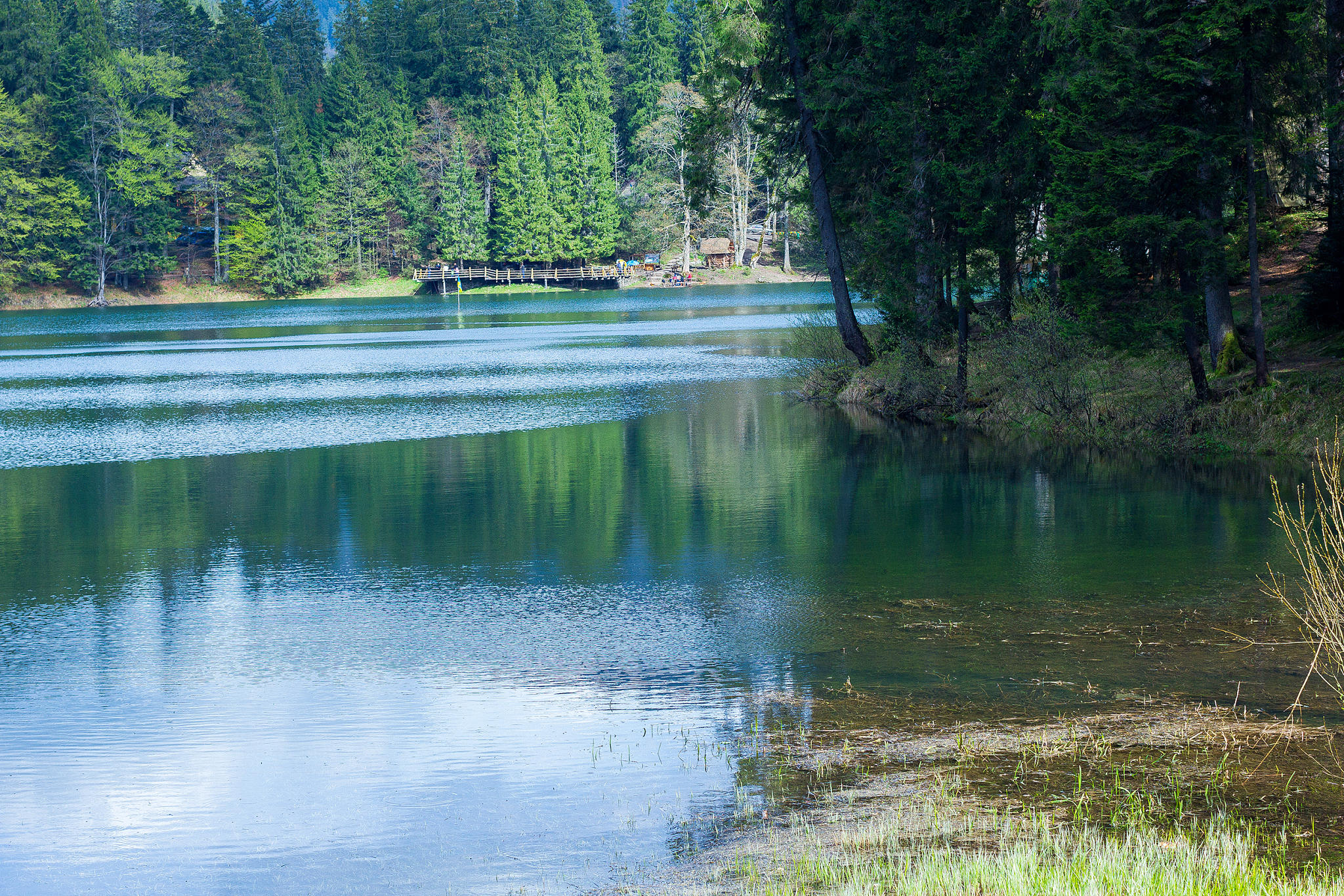 lake synevyr