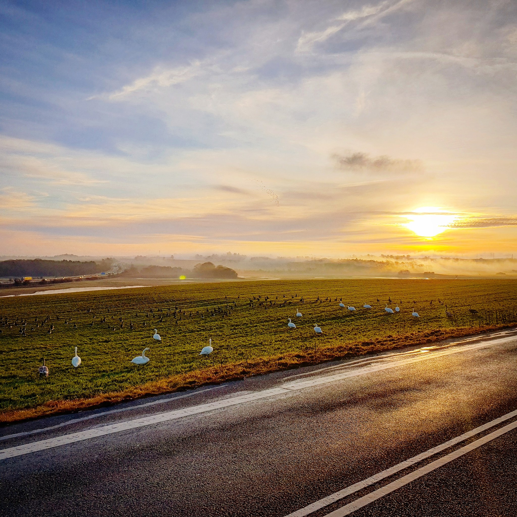 浙江科技特派员制度20周年：富农强民，硕果累累