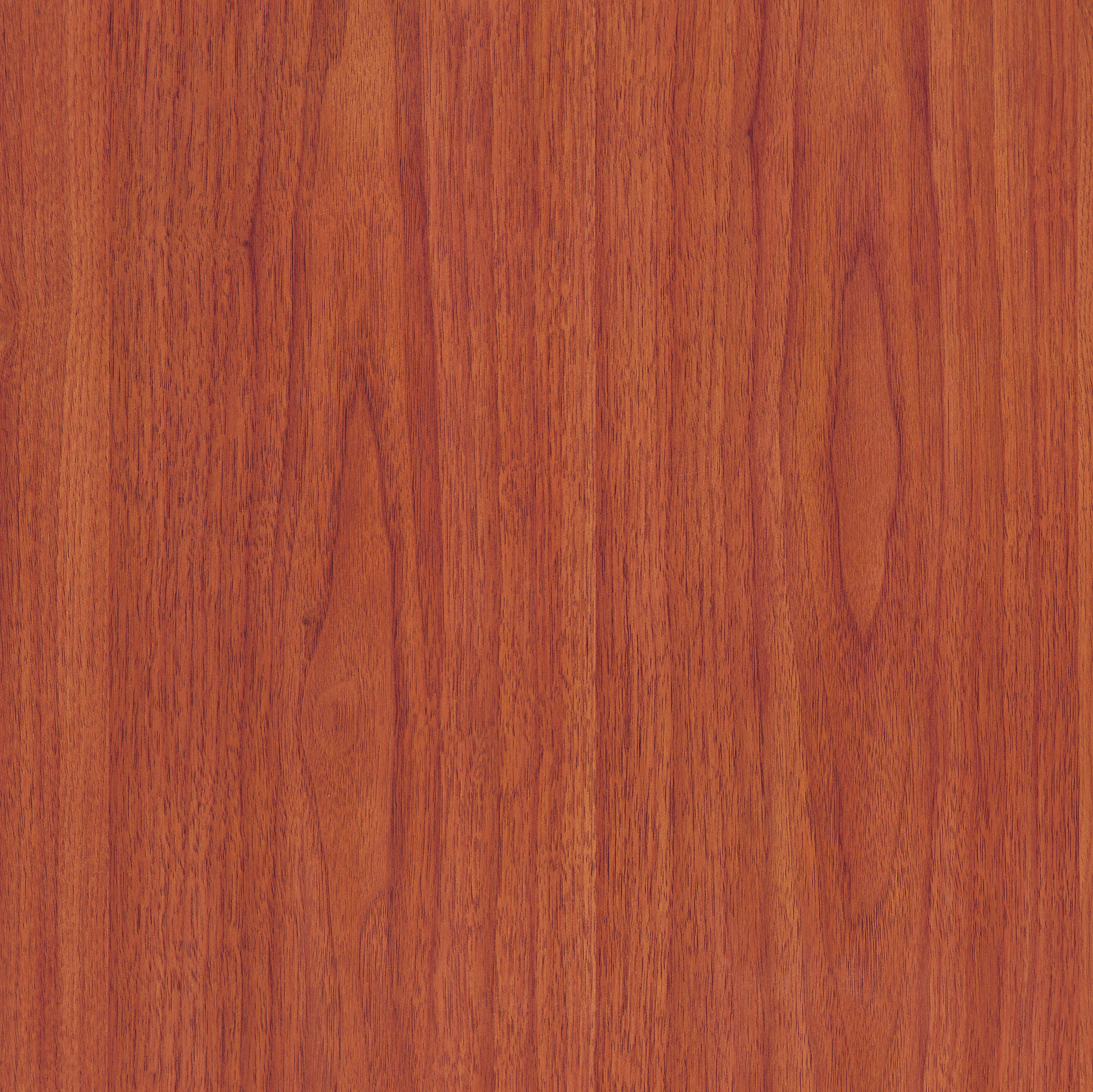 吉他面板有多少种材料