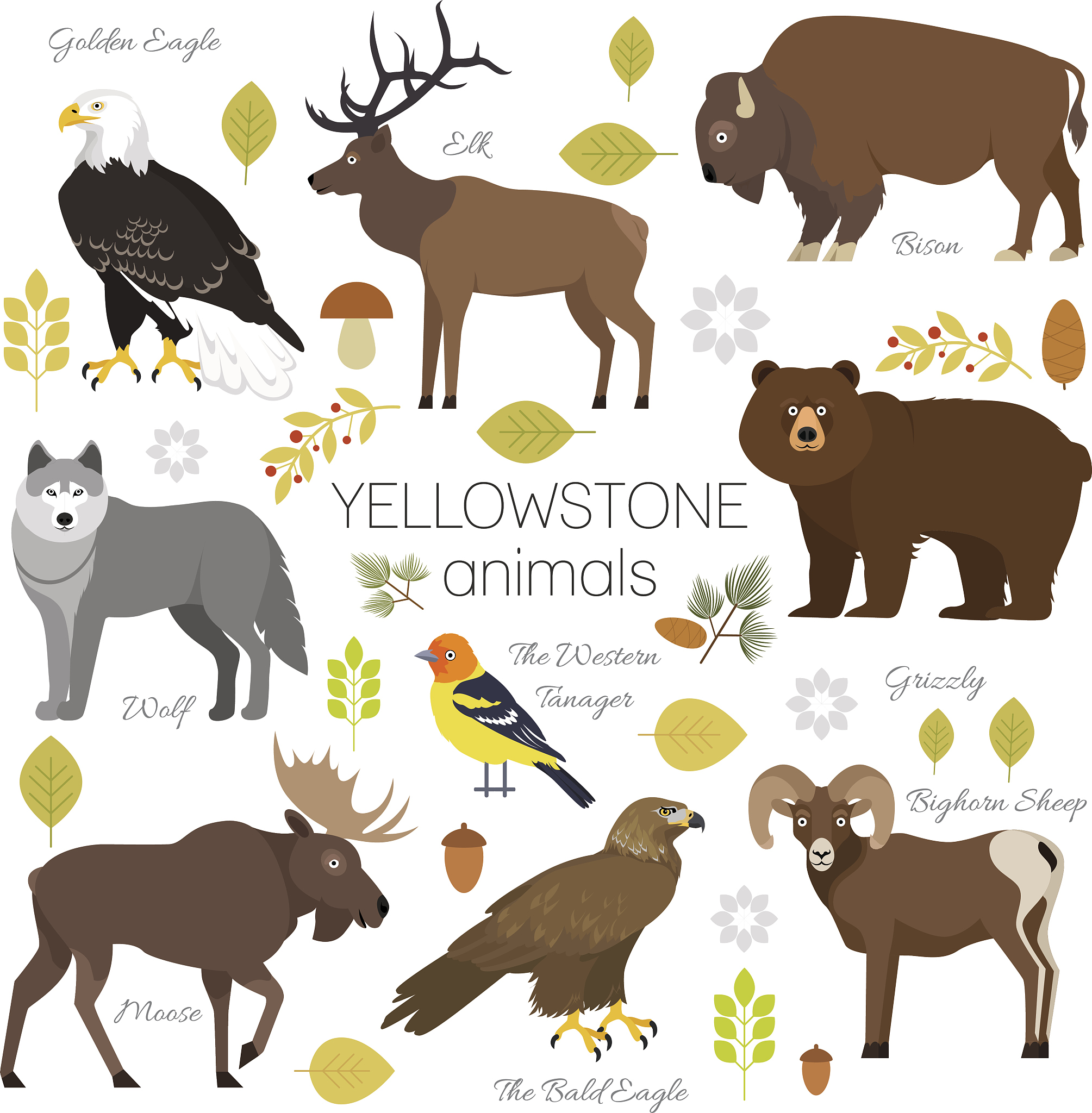 Evolution by Natural Selection: Understanding Adaptation and Animal Traits