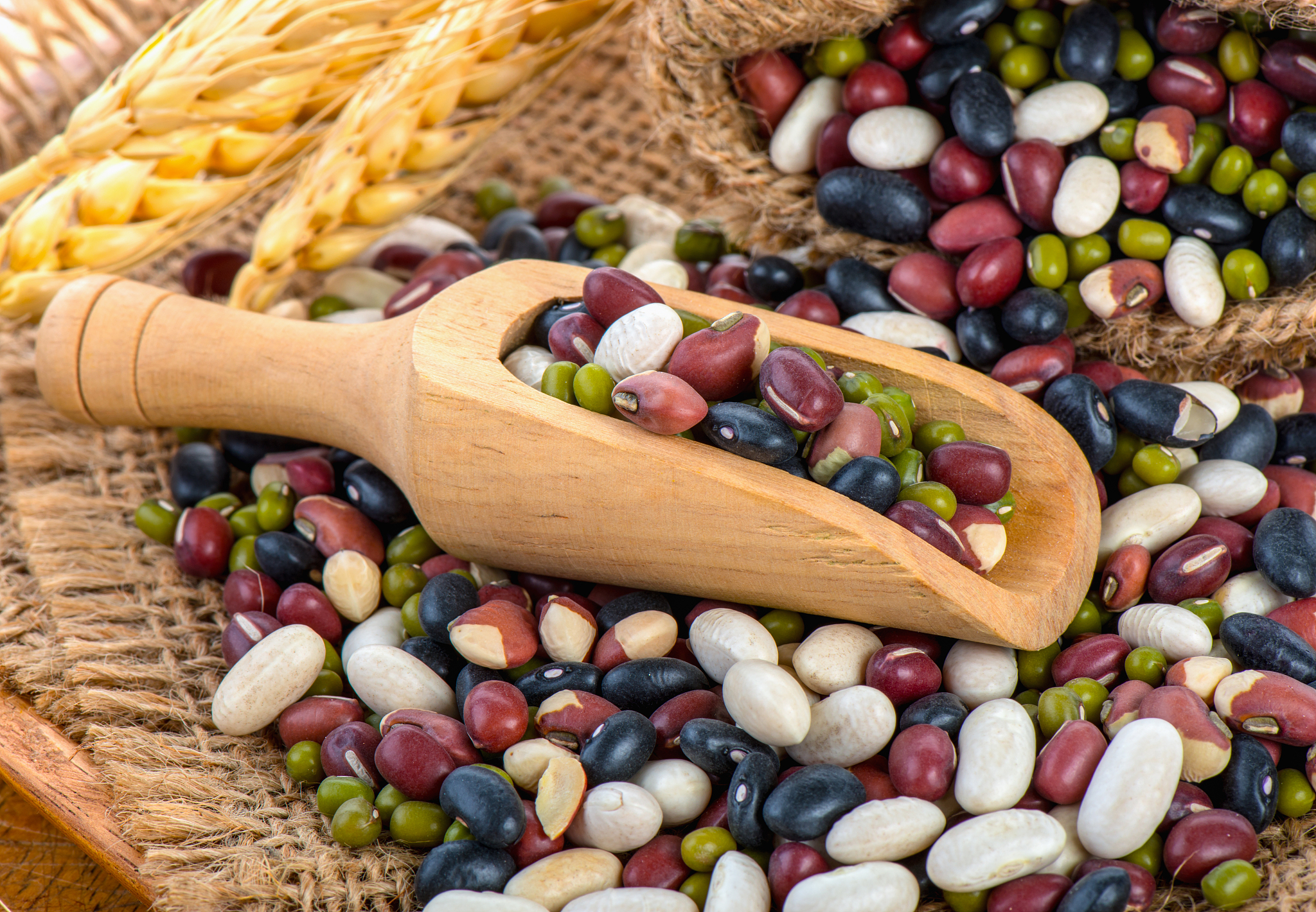 five grains mix beans in scoop