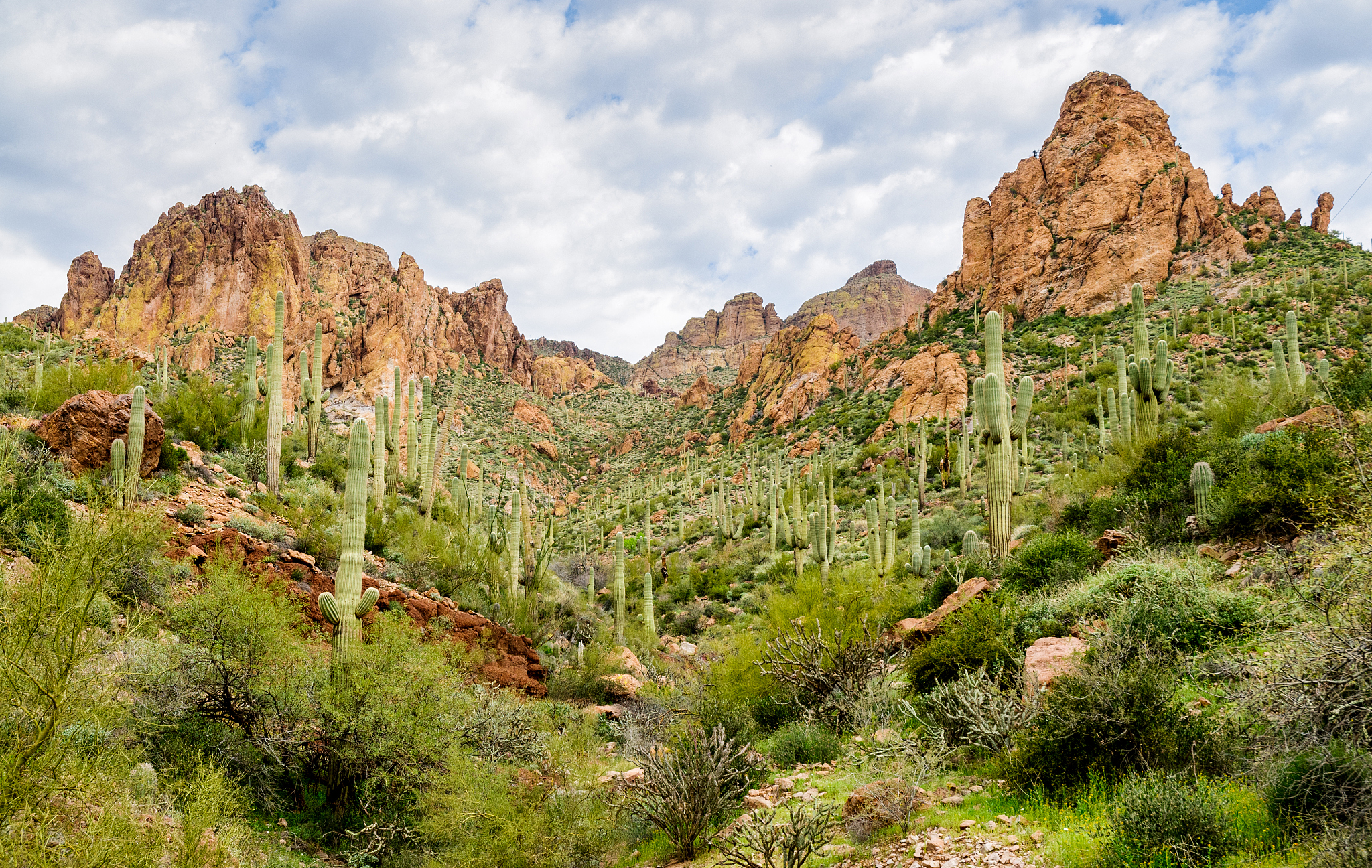 apache trail