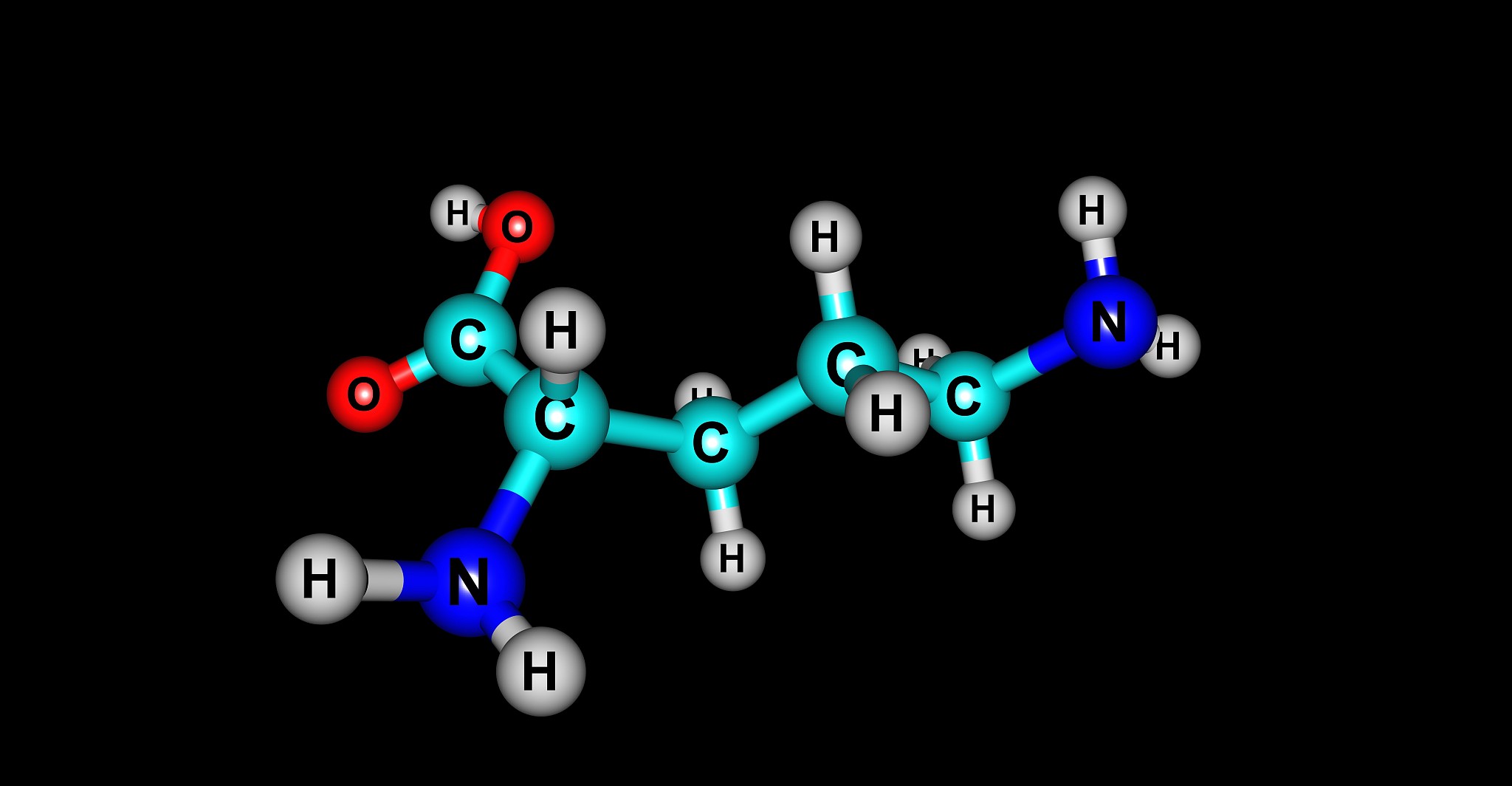 甘氨酸能与水形成氢键？