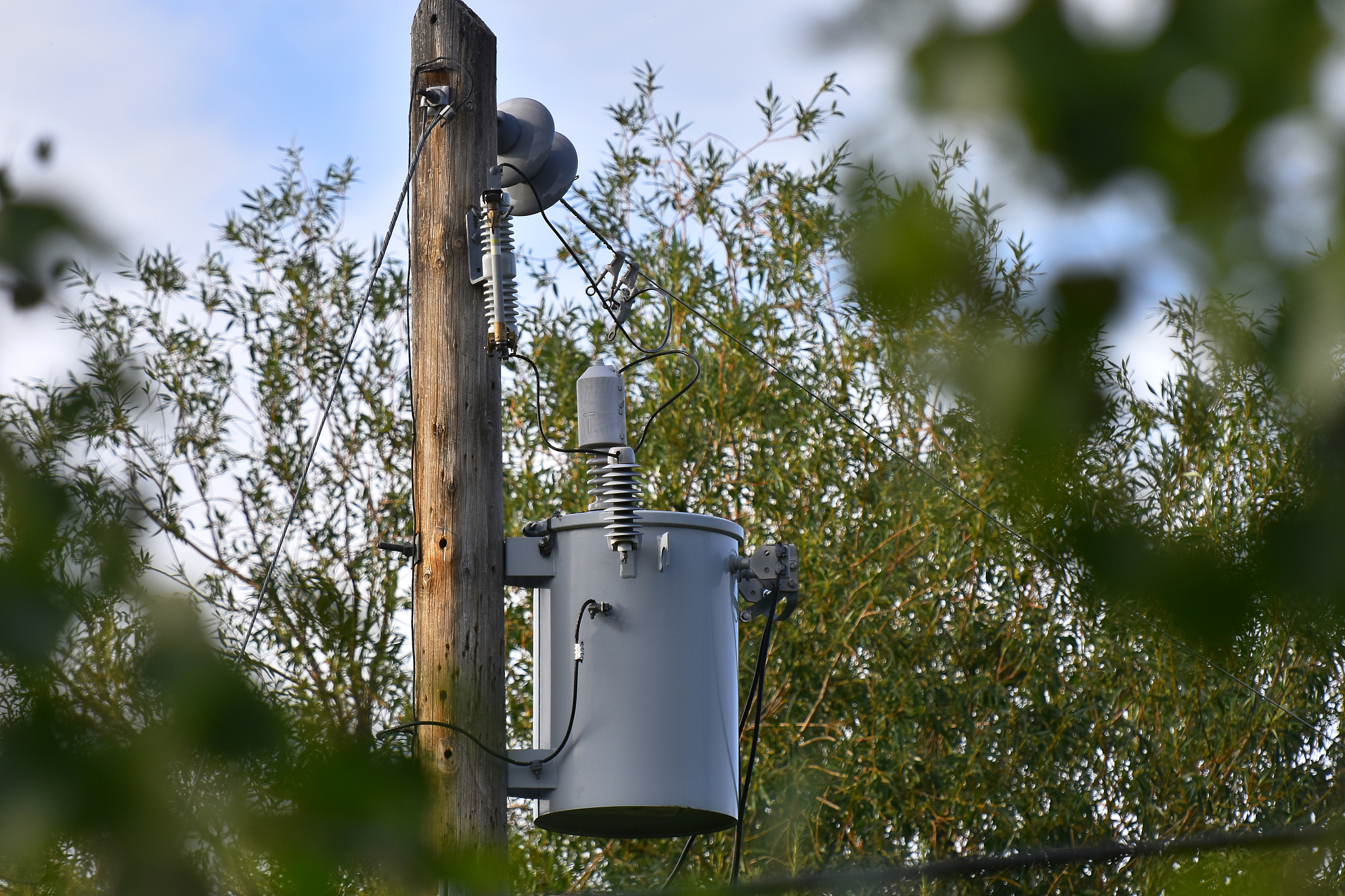 Electric Field Control in Nonlinear Homogeneous Insulators: A Cylindrical Coordinate Approach