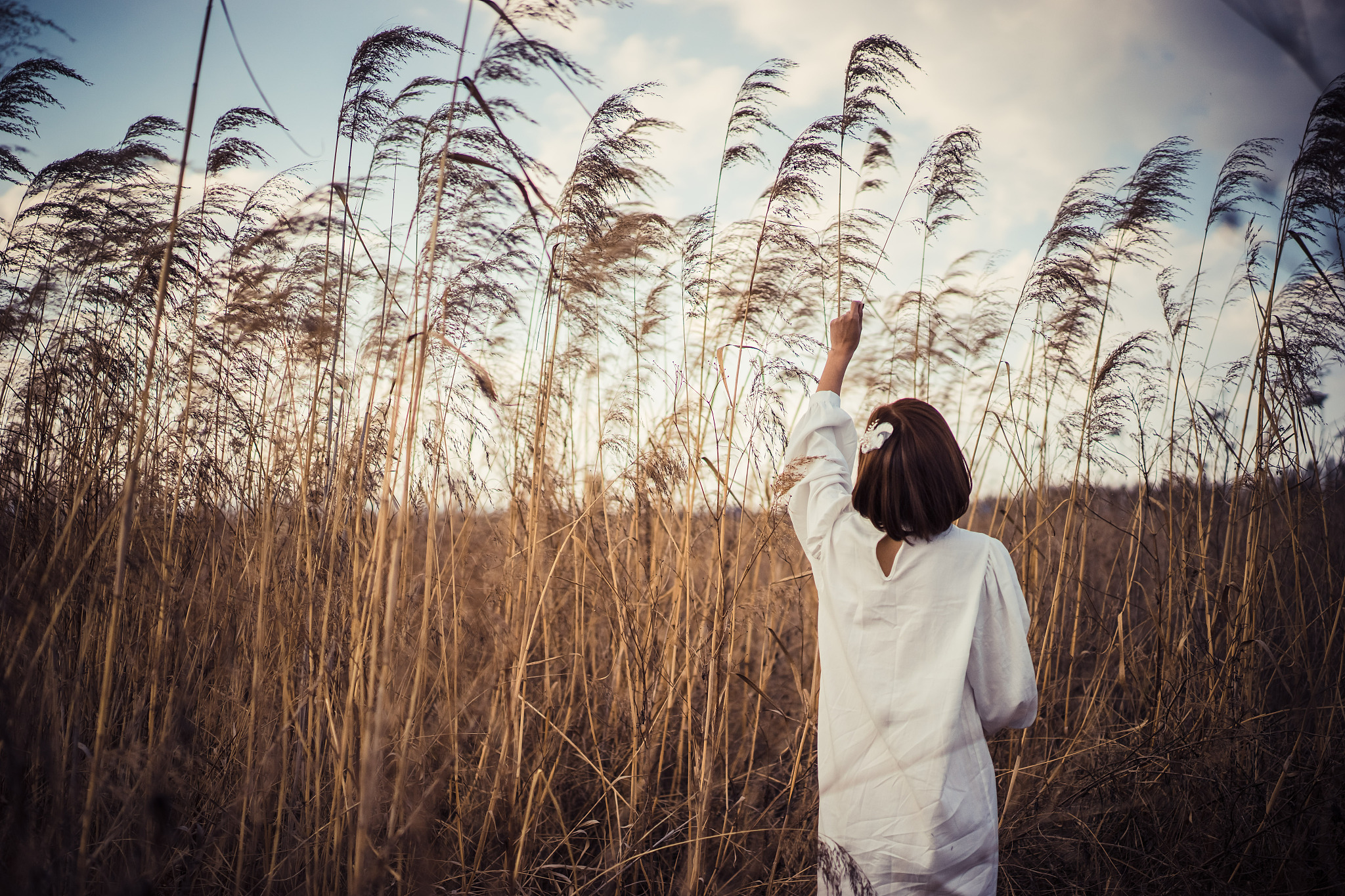 梦见打狗有什么寓意