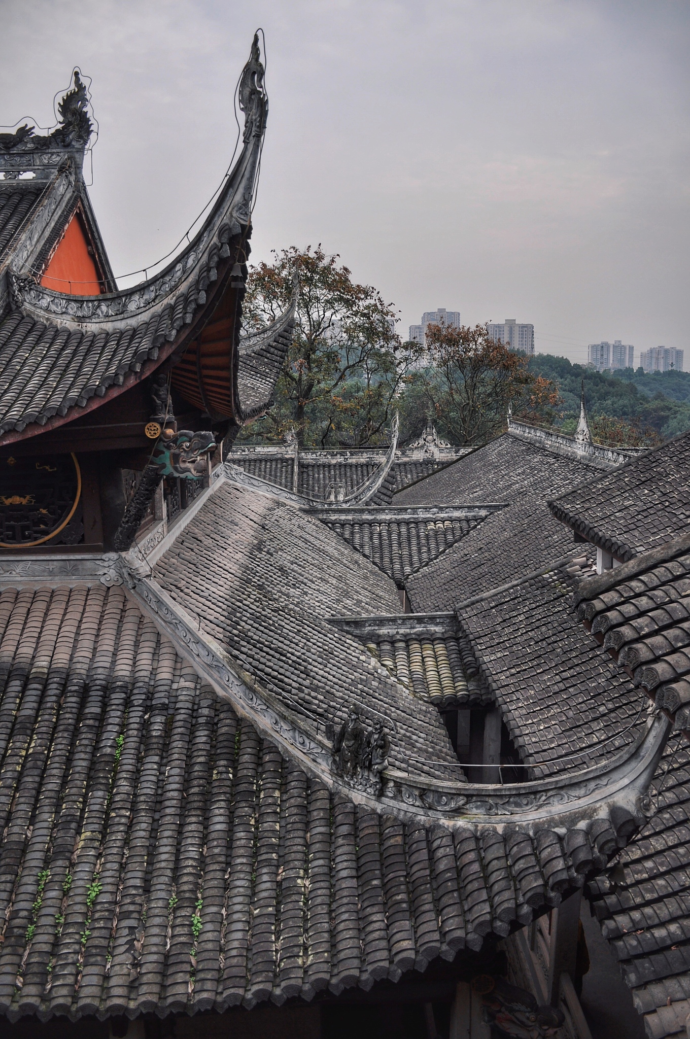 重庆医药高等专科学校专业设置：医学、药学、护理、口腔医学等