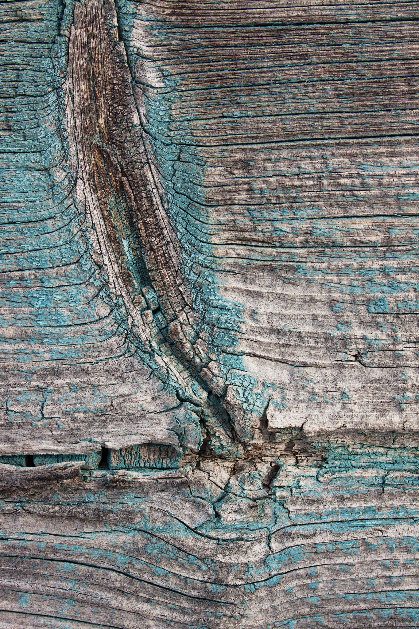 顾凯之艺术作品：形式、材料与主题的探索 - 深刻的艺术思考与独特观念