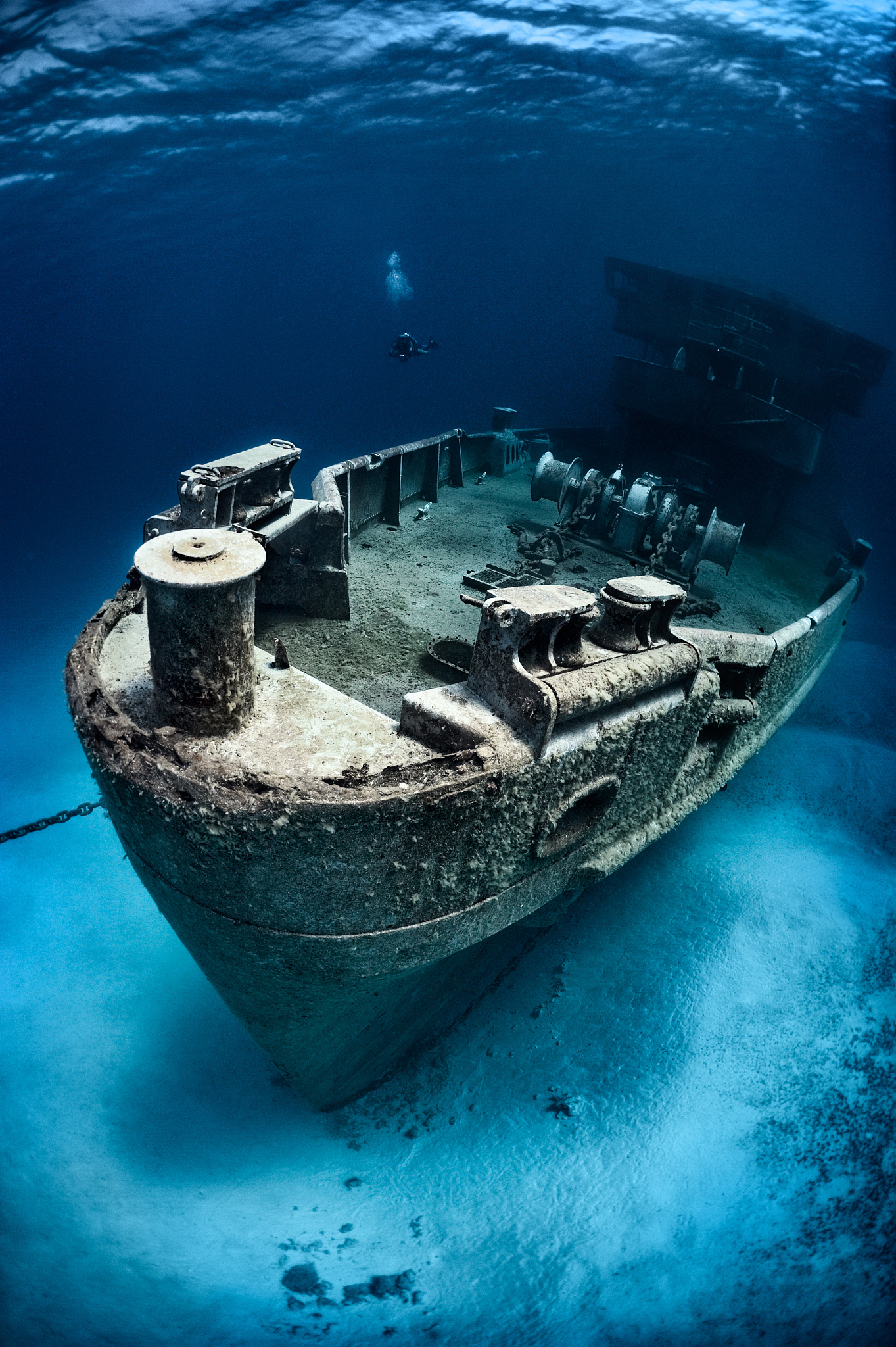 kittiwake exploration