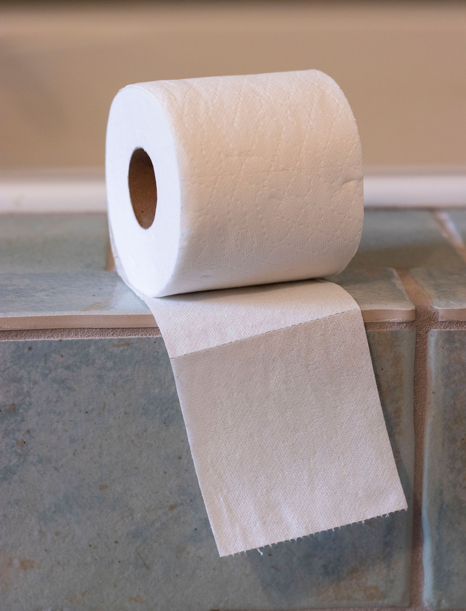 toilet paper roll