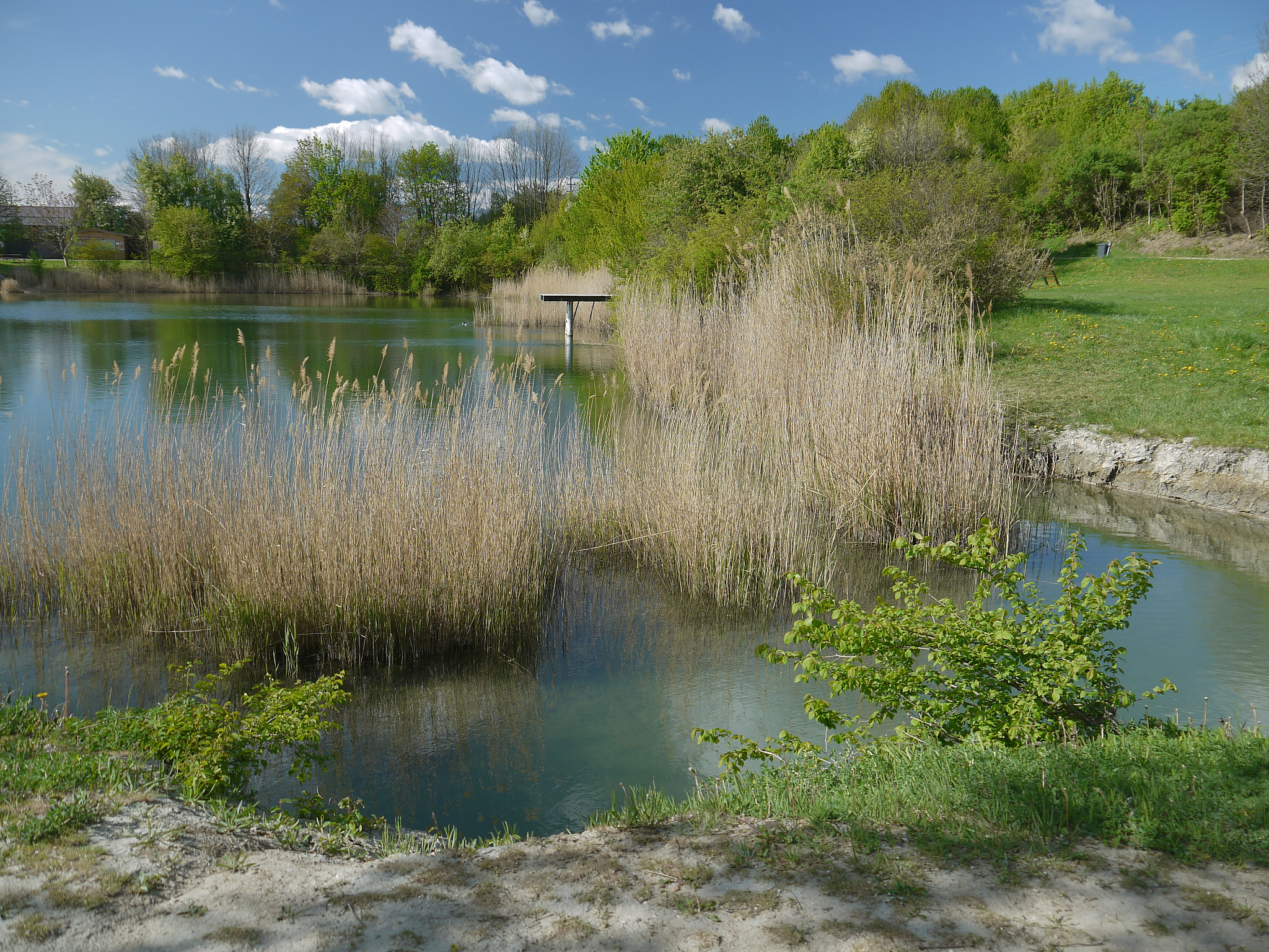 哈尔滨金河湾湿地维管束植物数量调查