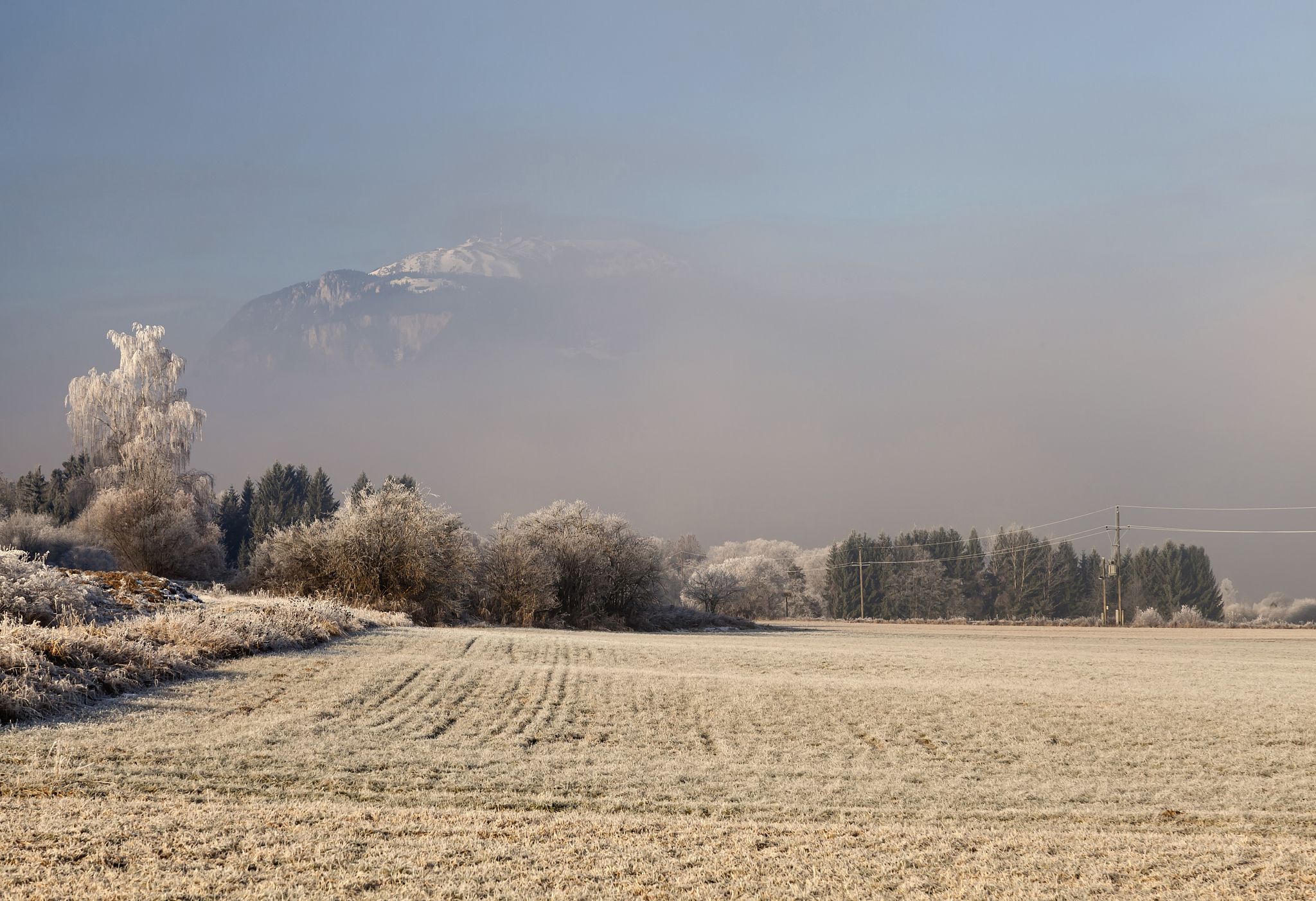 wintermorgen in k?rnten