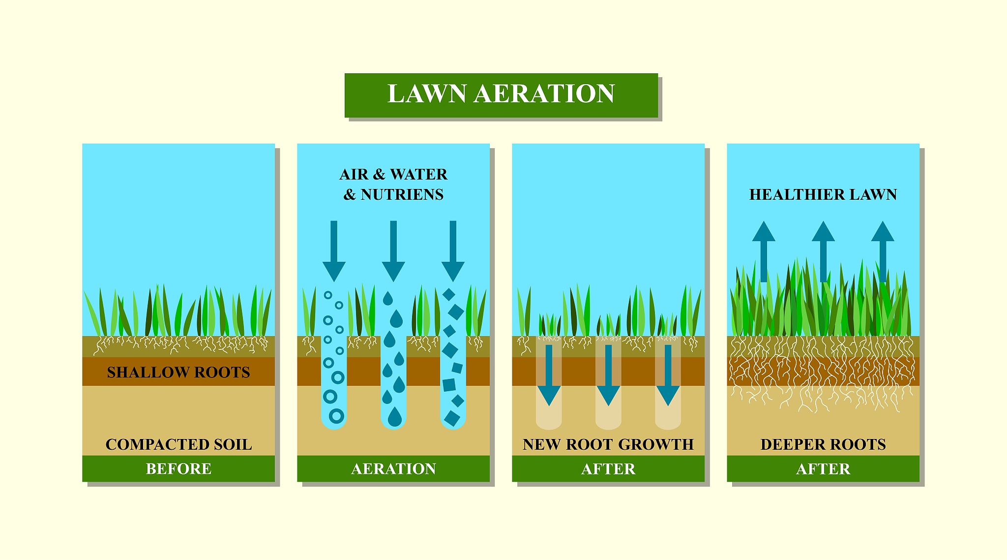 改写 传统磷肥因养分挥发、淋溶和固定而利用效率低导致大量磷肥施用从而引发磷流失和水体污染成为其中一大主要原因。