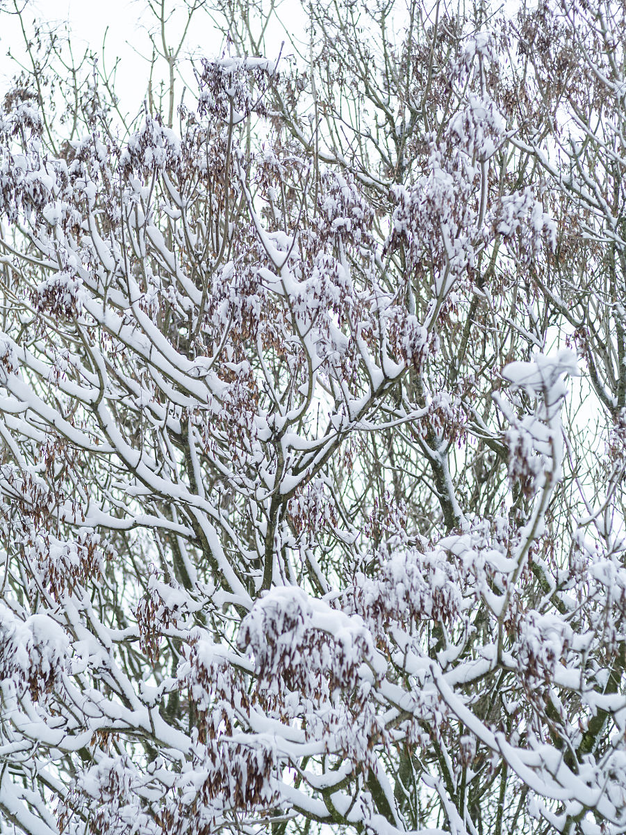 贵州护理职业技术学院康复治疗技术专业可选择哪些就业方向