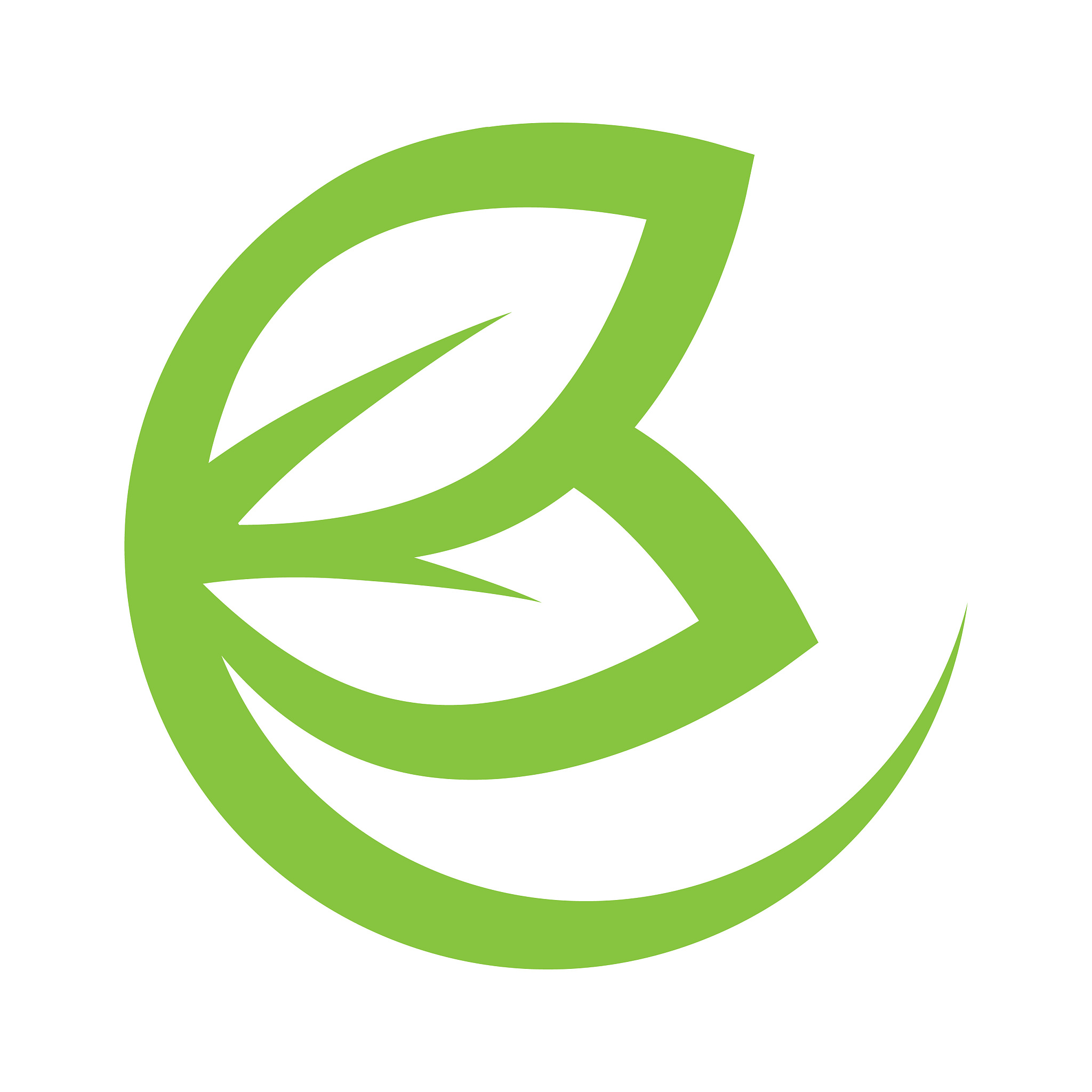 abstract leaves