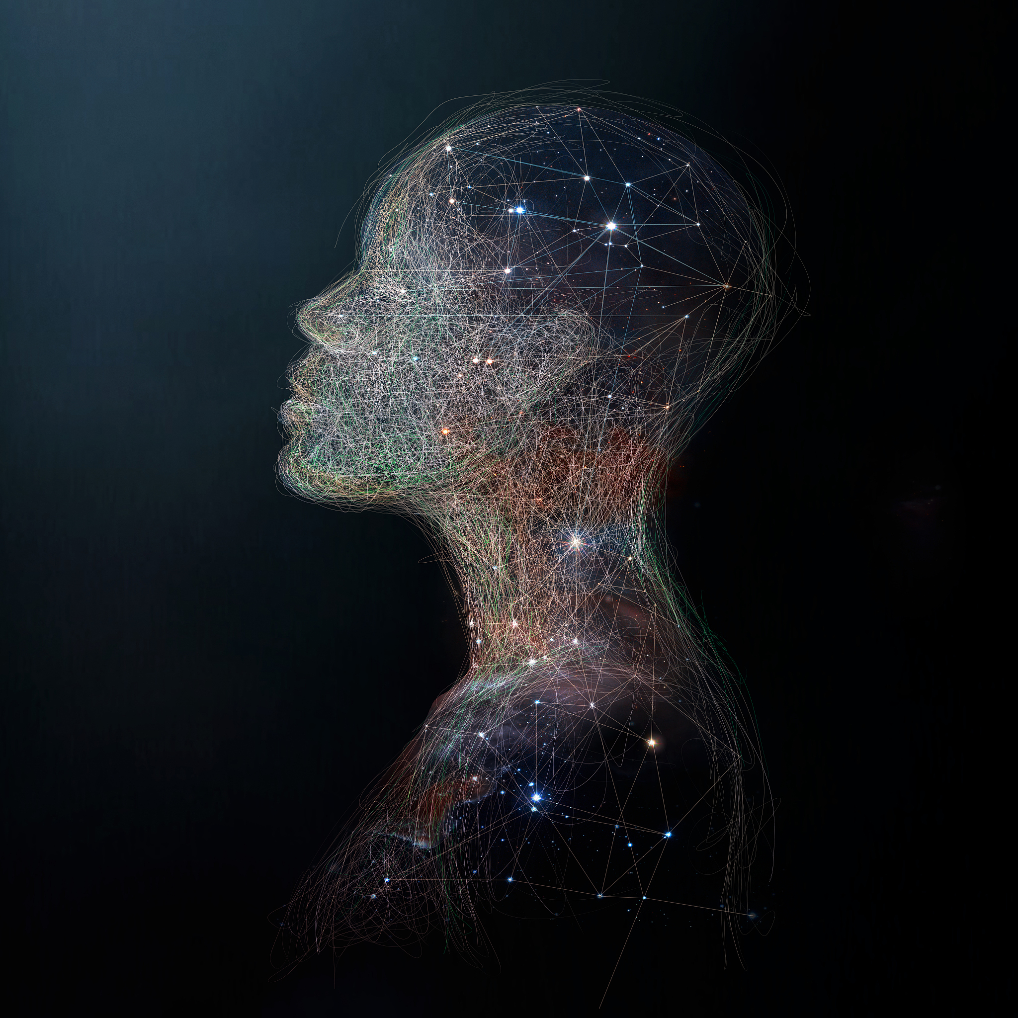 人类的独特之处：智能、情感和自我意识