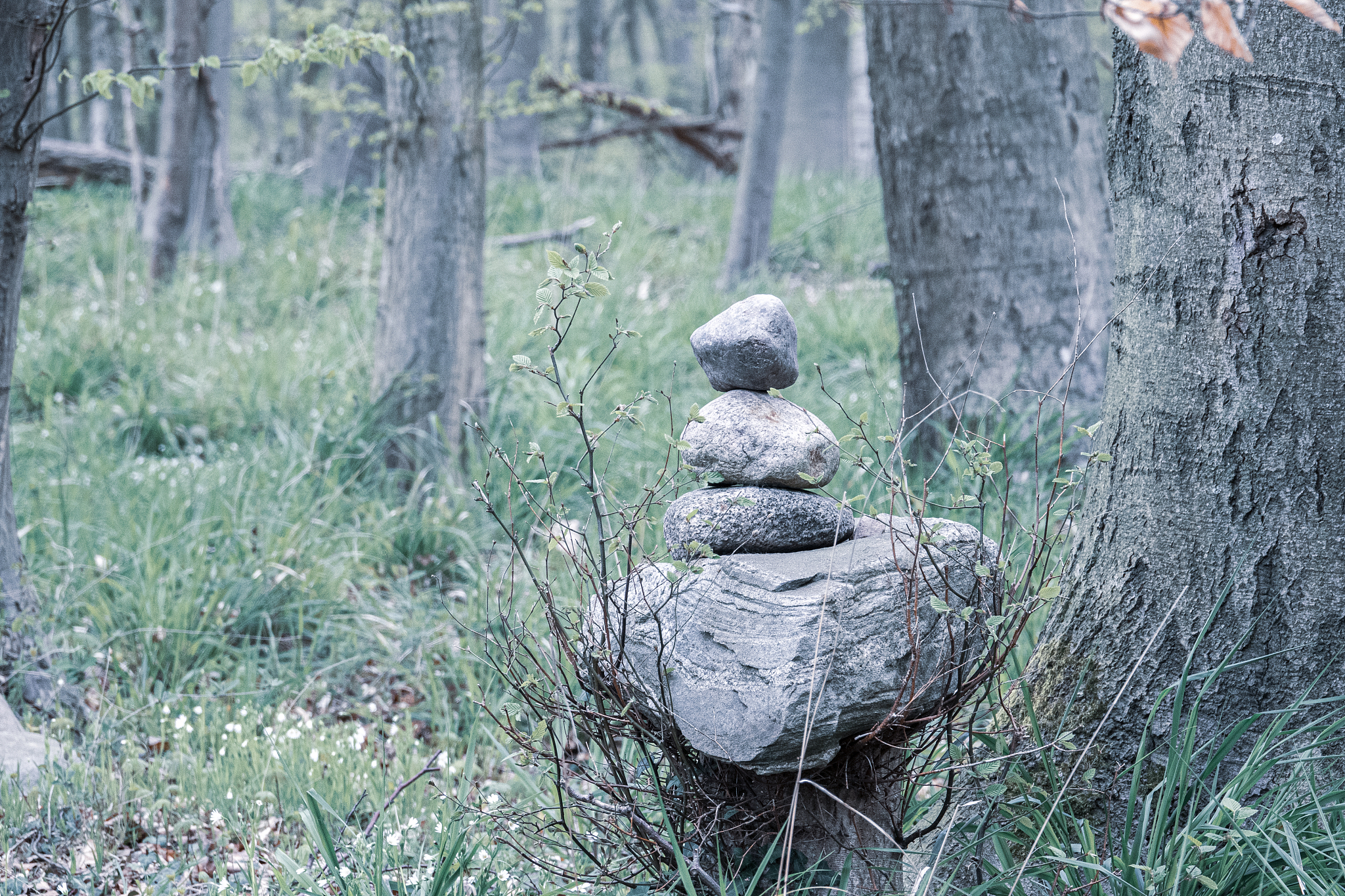 man of stones stands by the wayside in a forest