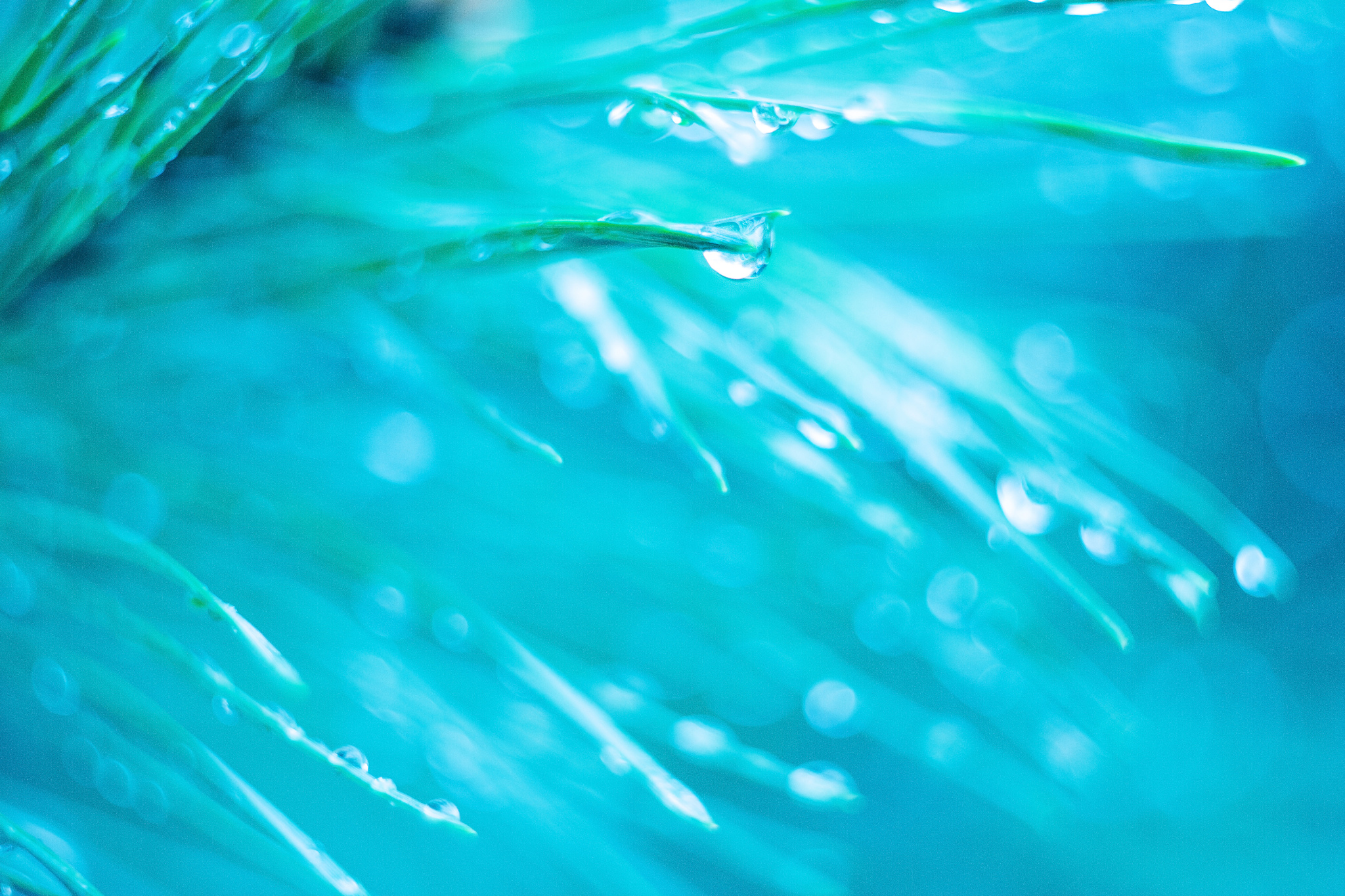 blue abstract background with a raindrop.