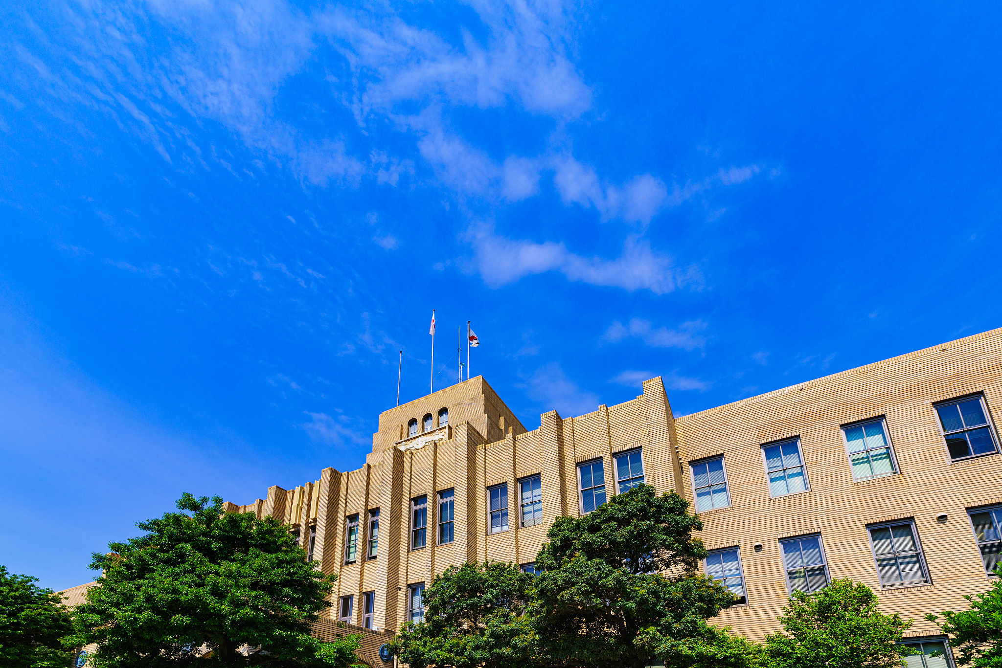 landscape of kagoshima city hall in japan