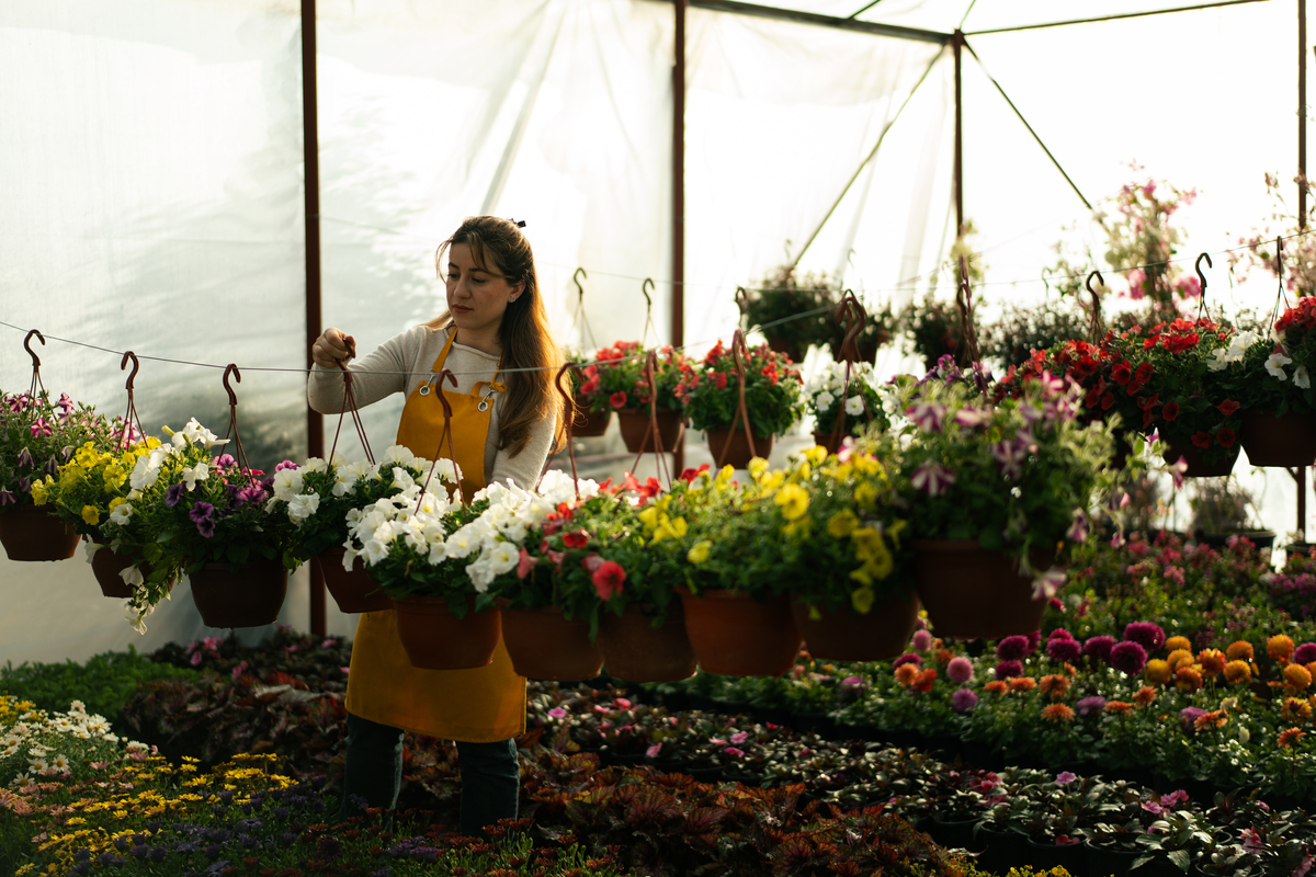 哥伦比亚打造鲜花国度的措施