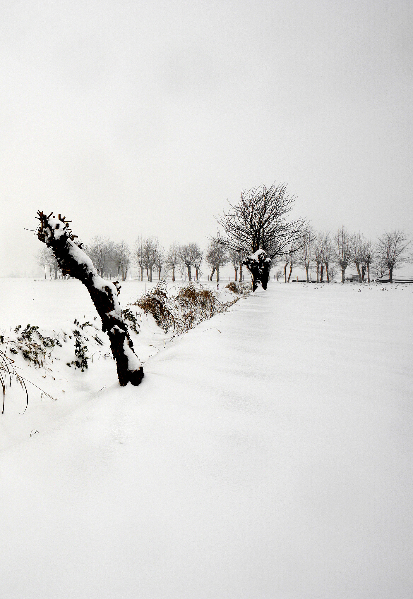冬日诗歌：十六行描绘雪景、寒意与寂静